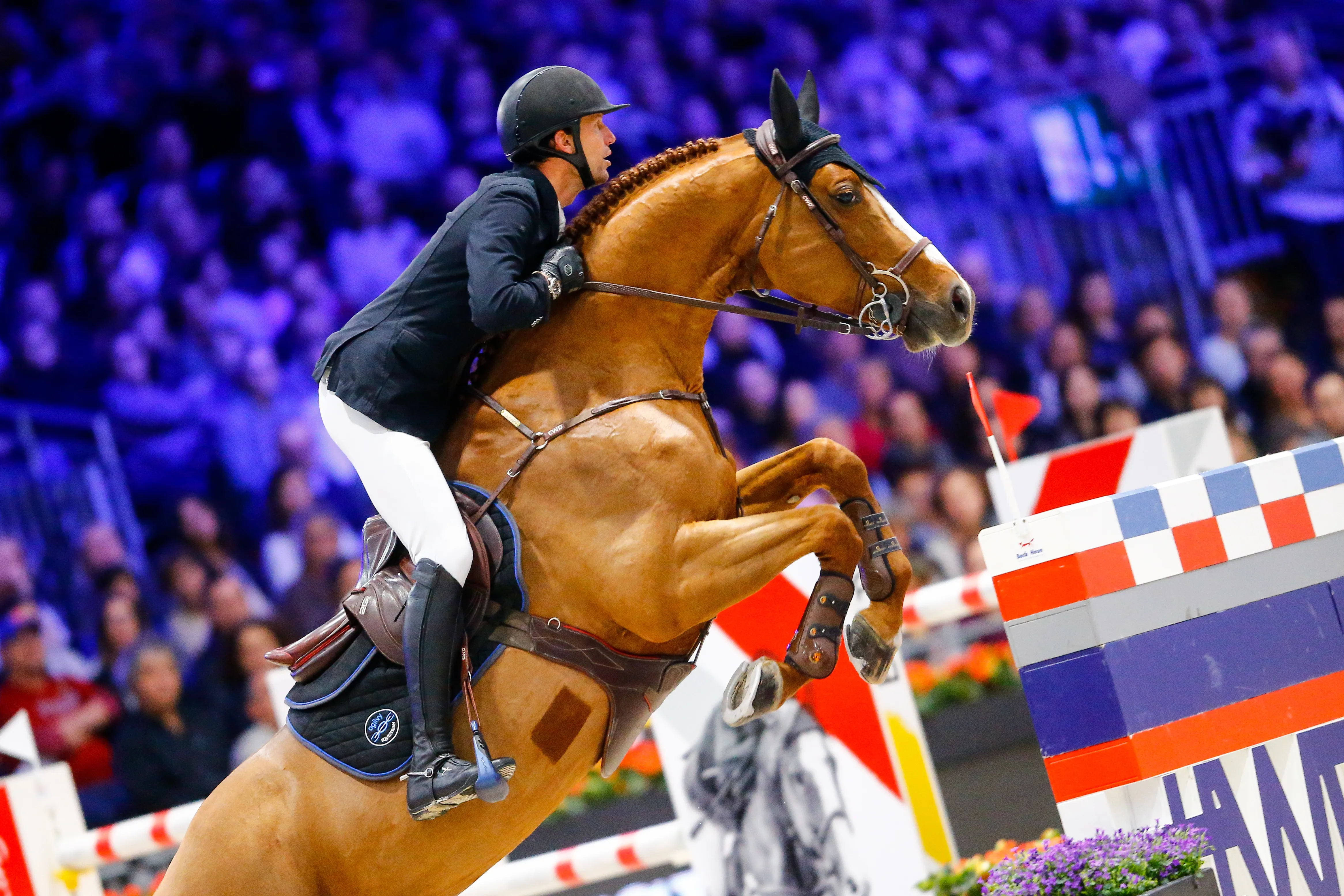 Cet hiver, Viking d'la Rousserie a engrangé une expérience précieuse en indoor.