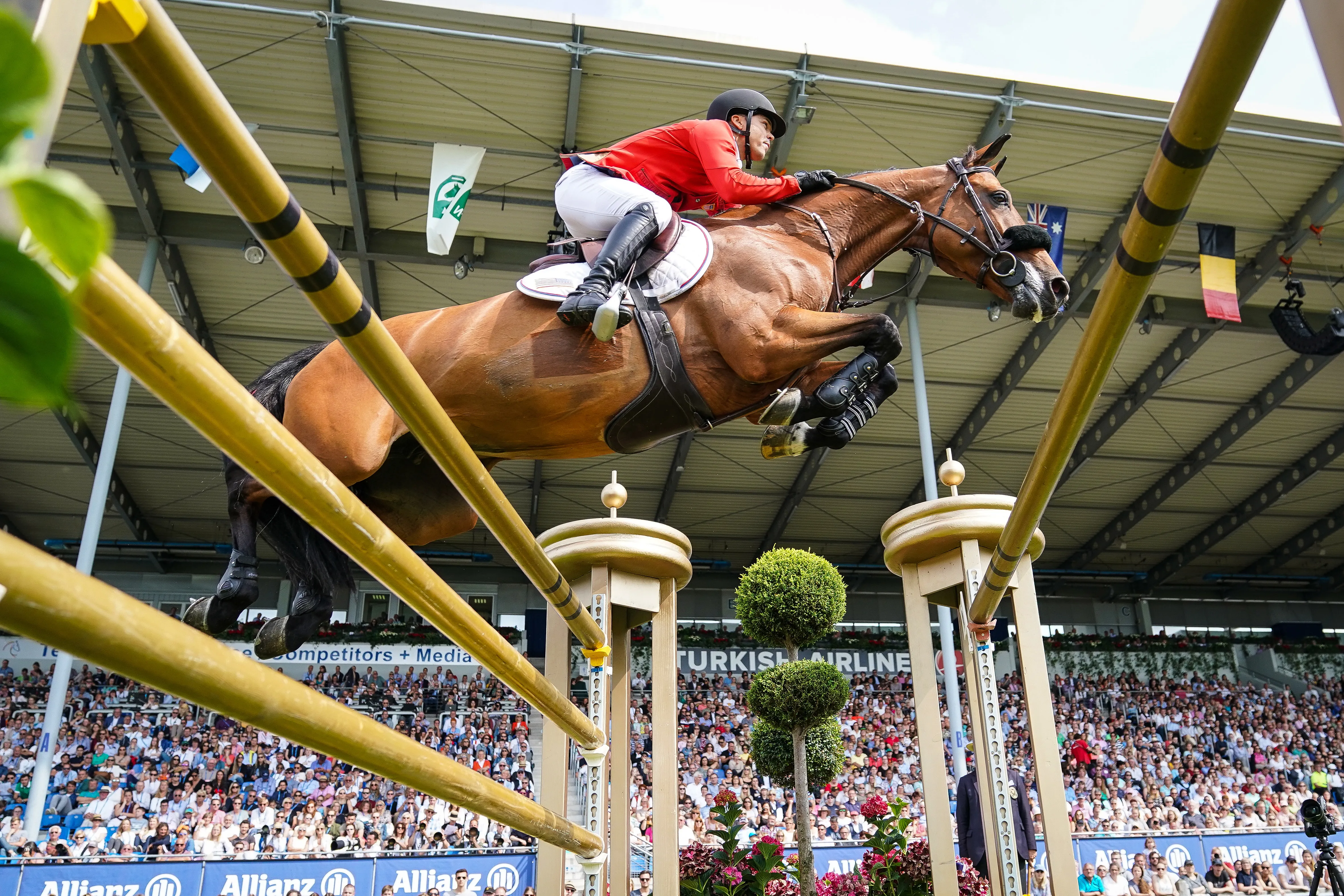 Victorieuse de onze Grands Prix de niveau 5* sous la selle de l’Américain Kent Farrington, Gazelle ter Elzen, consacrée cet été à Aix-la-Chapelle, est sans doute le produit le plus abouti de Kashmir van Schuttershof.