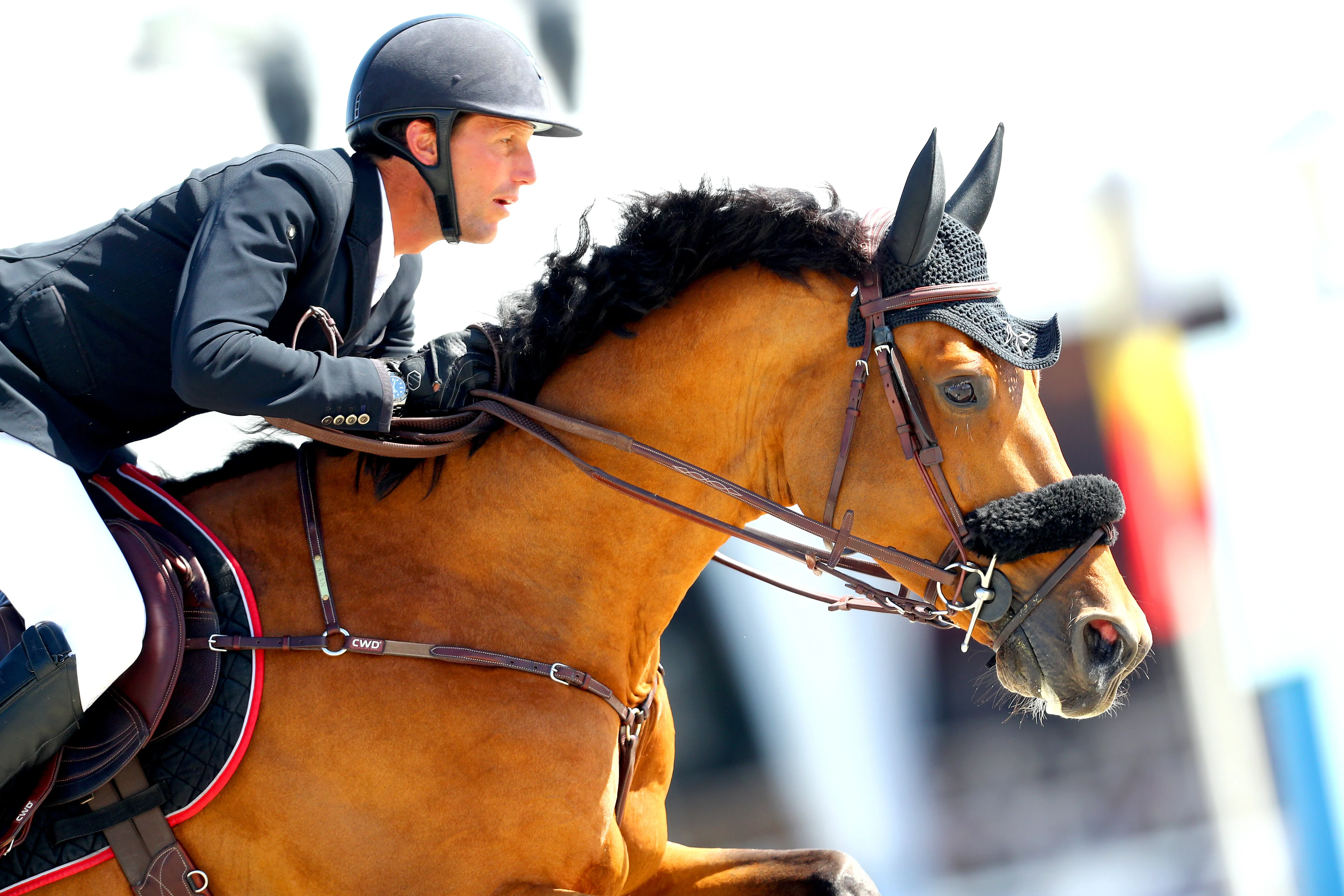 Kevin Staut est le seul Tricolore à faire partie du Top dix des meilleurs cavaliers au monde.