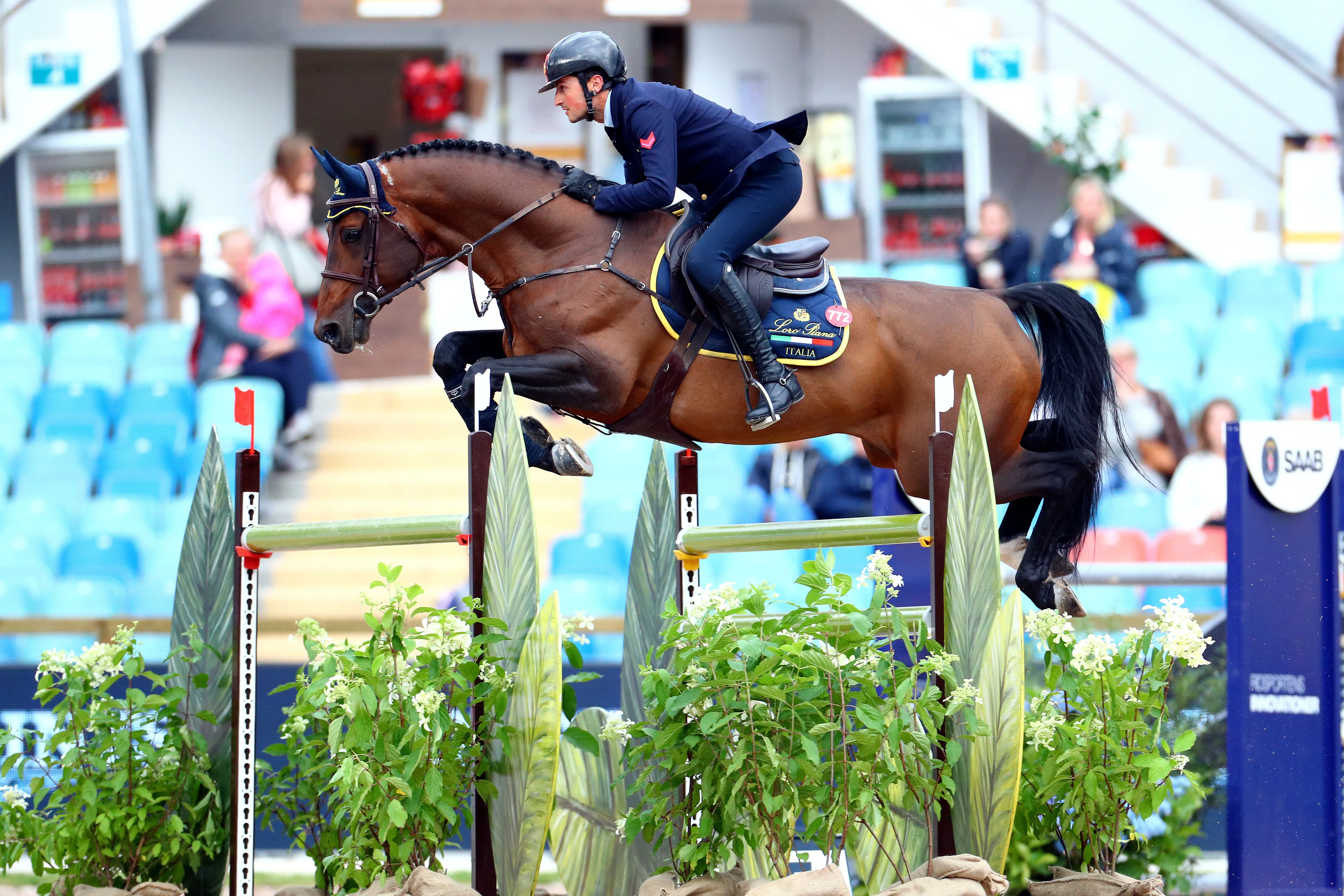 Après avoir été monté par le Tricolore Aymeric de Ponnat, Armitages Boy évolue avec succès sous la selle de l'Italien.