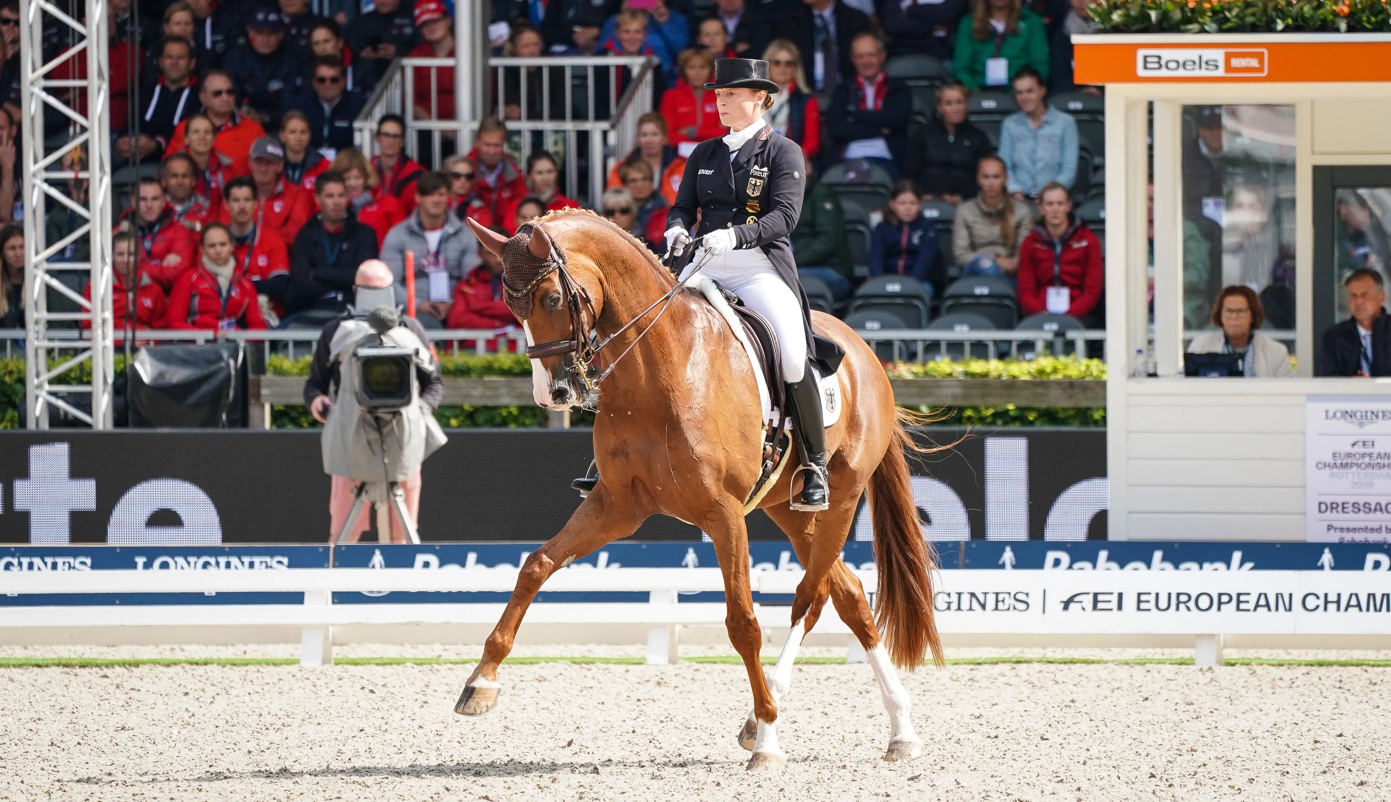 Bella Rose 2 et Isabell Werth lors de leur triple sacre européen en 2019 à Rotterdam 