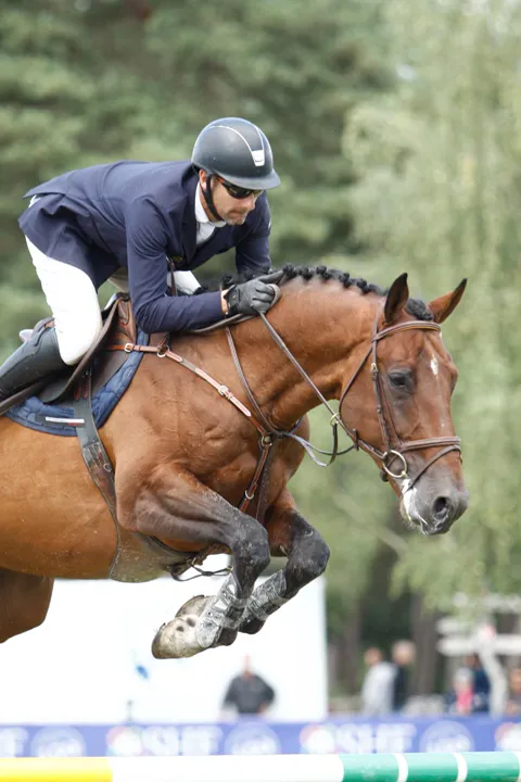 Ascot des ifs, champion des 6 ans en 2016 étalon né chez mme Pinteaux, monté par Sébastien Tencé