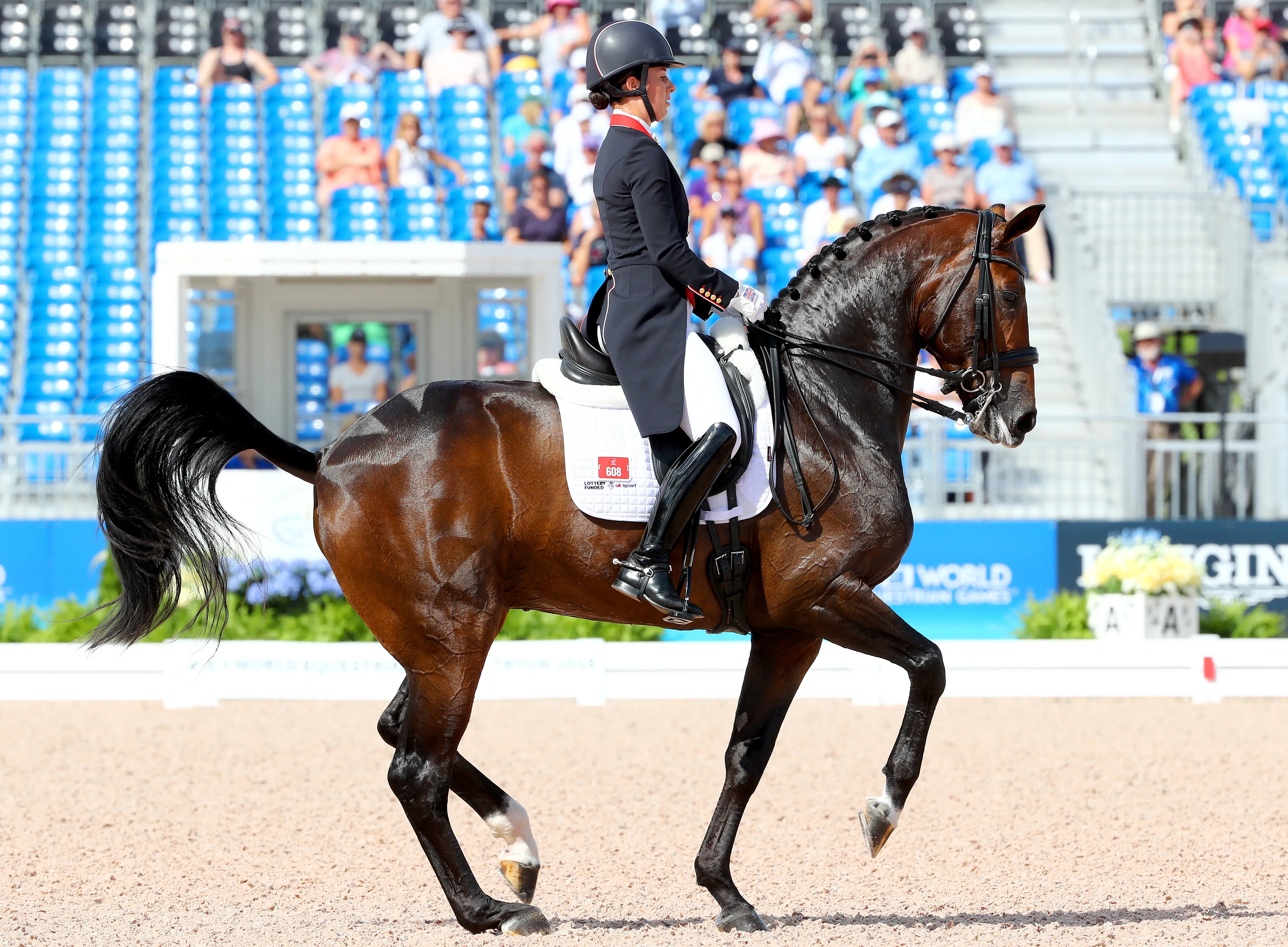 Nouvelle pépite de Charlotte Dujardin, Mount St John Freestyle n'a pas déçu pour son premier grand rendez-vous.
