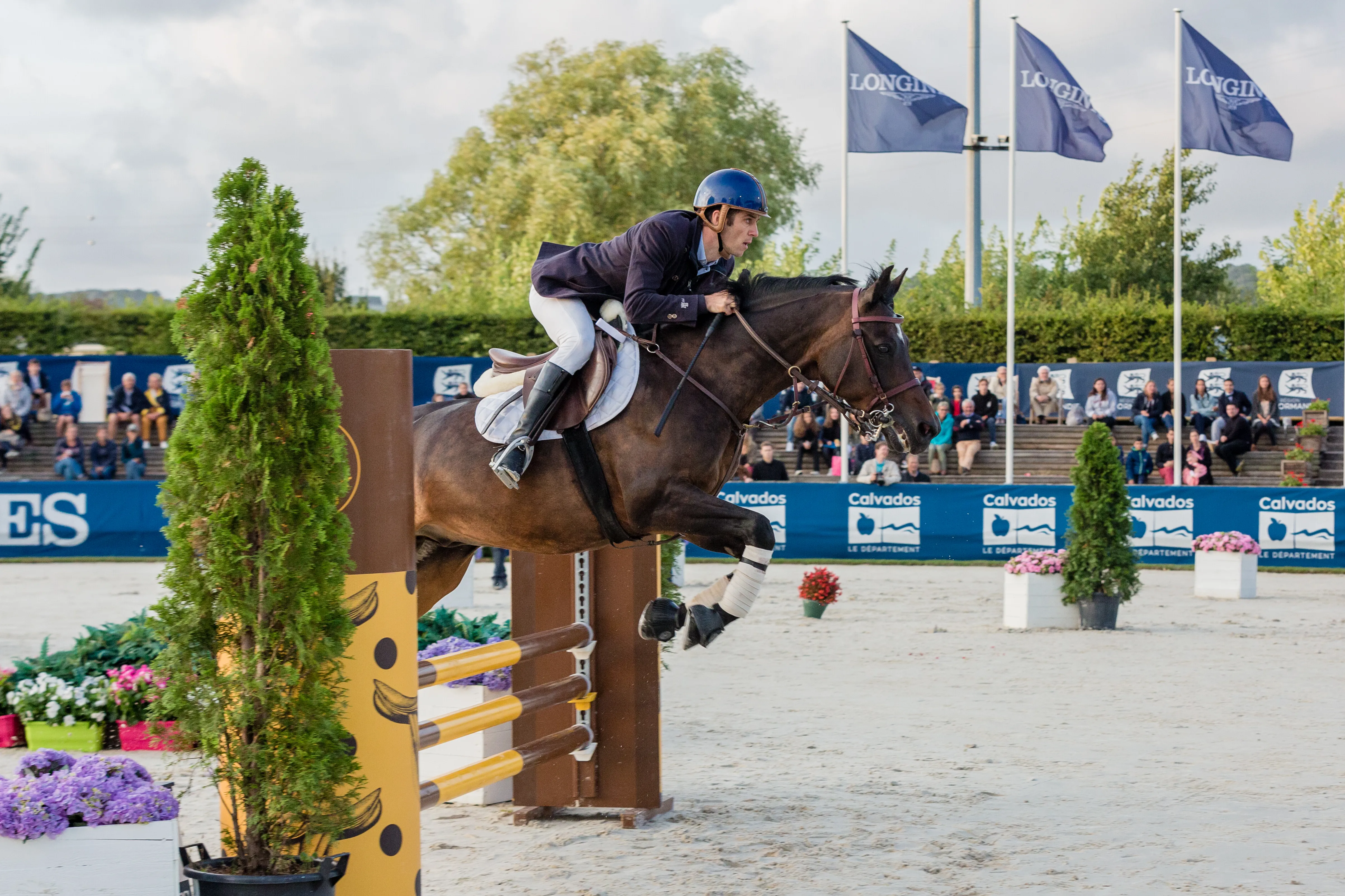 Patrice Delaveau, Astier Nicolas et Margaux Rocuet faisaient tous trois partie des équipes du Longines Equestrian Challenge Normandie.