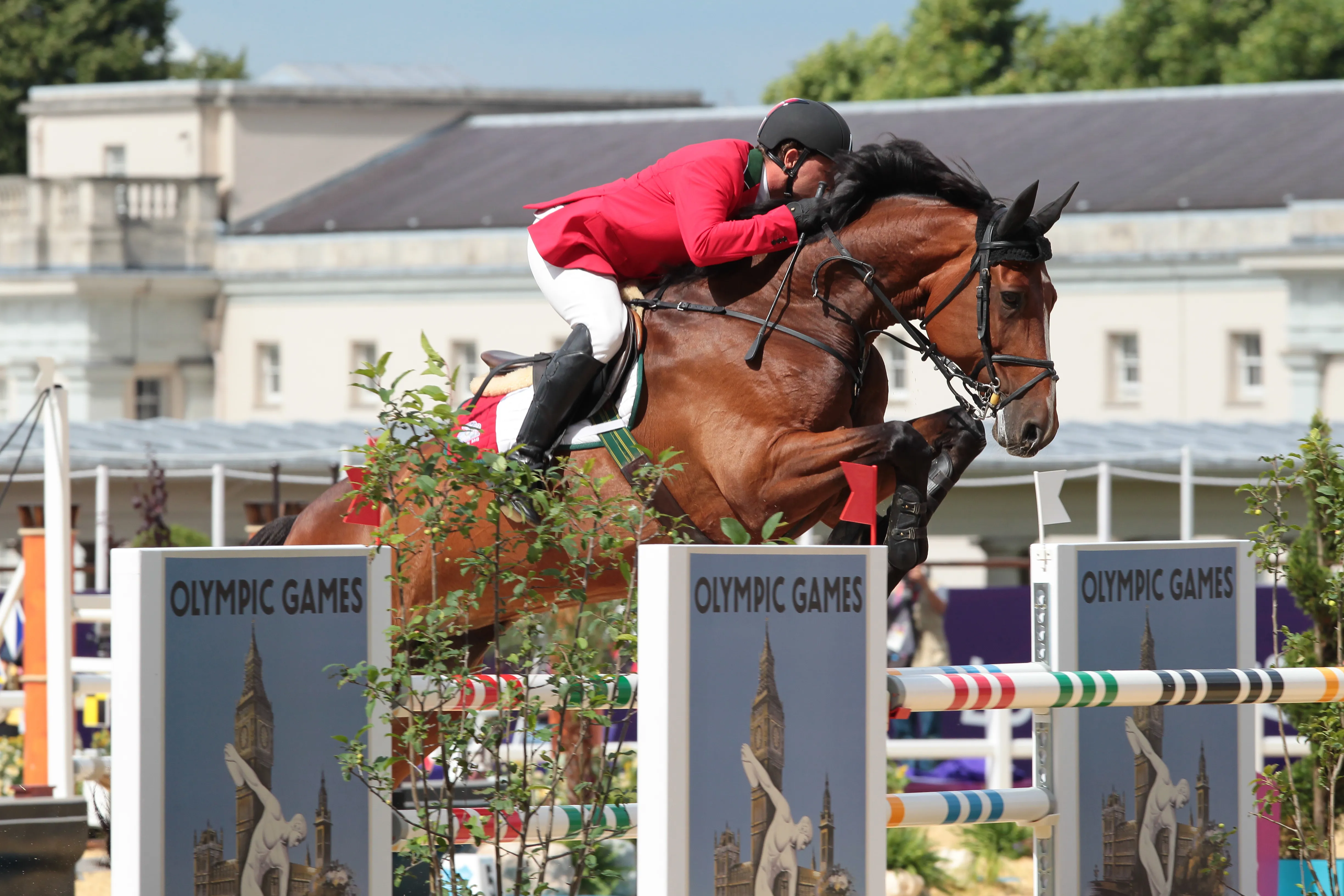 de 2010 à 2012, Alberto Michan était le pilier de l’équipe mexicaine de saut d’obstacles avec la formidable Rosalia La Silla, vendue plus tard au Qatar.