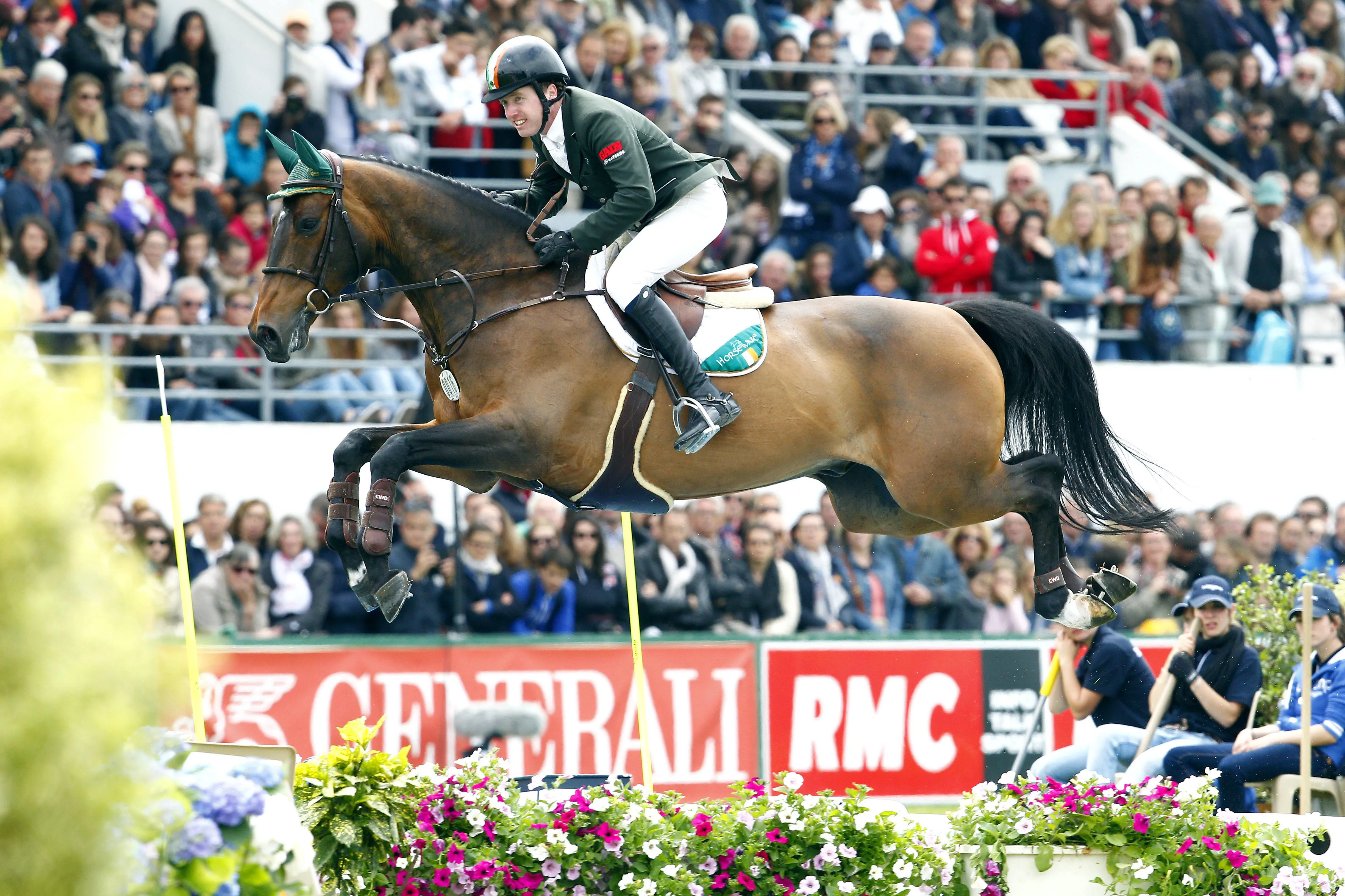 On retrouve le chef de race, exceptionnel père de mère, dans le pedigree du crack MHS Going Global, ici à La Baule en 2015.