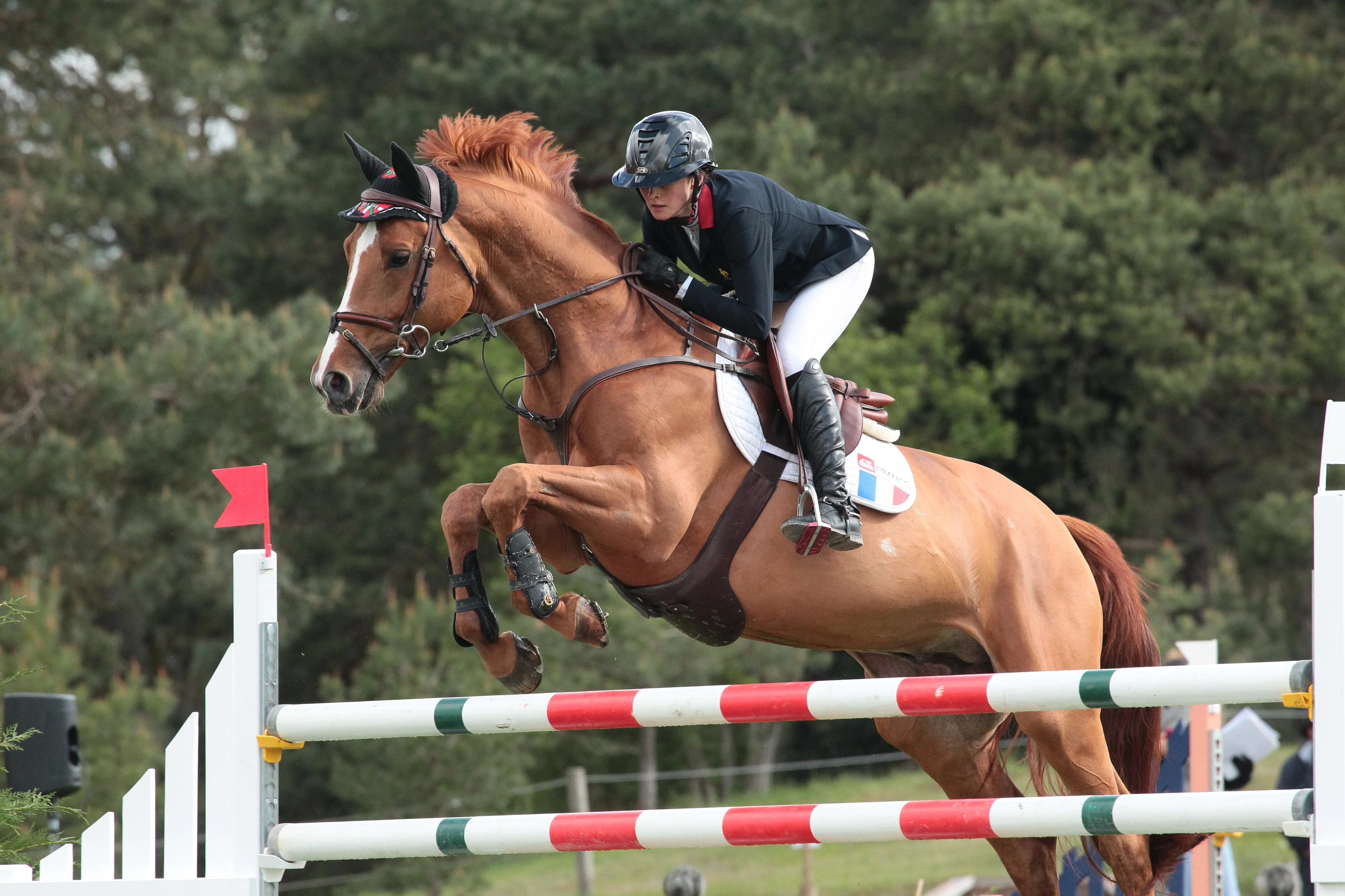 Antoine Ermann aura particulièrement brillé ce week-end. Il s'empare aussi de la seconde place de ce Grand Prix Junior.