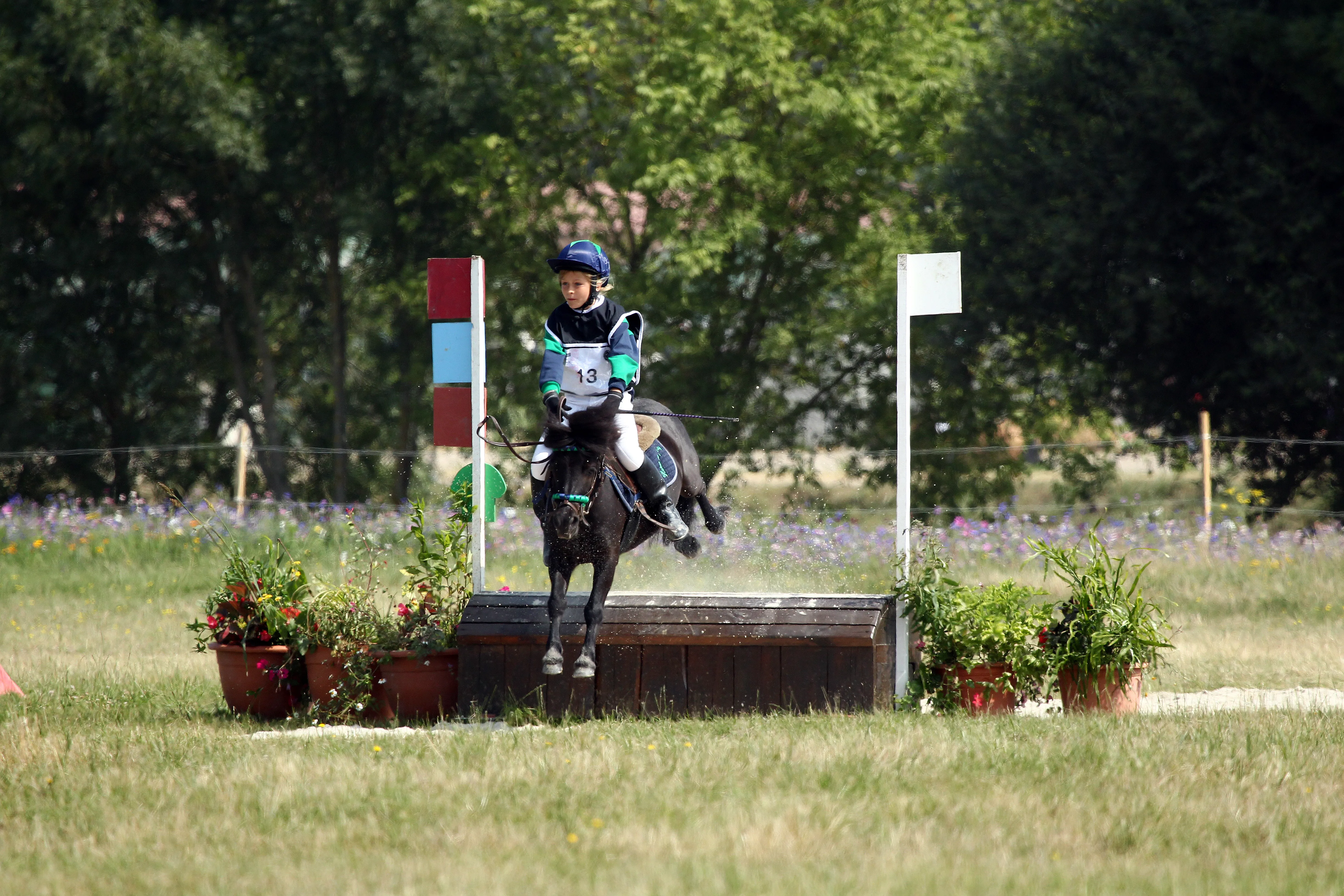 Dès 2013, à huit ans, Ilona a remporté son premier titre à Lamotte-Beuvron, en concours complet, associée au Shetland Willemien van den Eendennes.