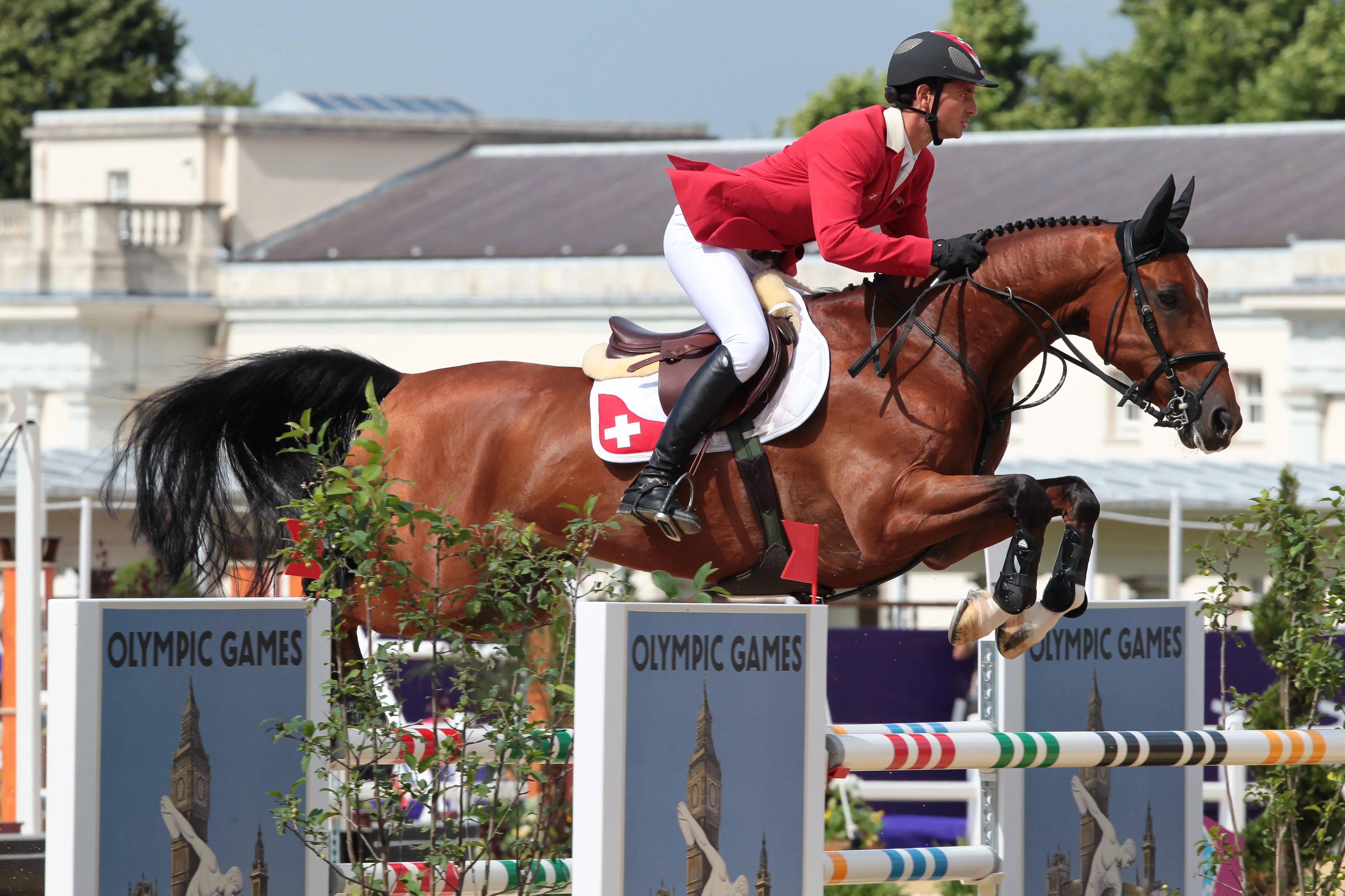 Champion olympique à Londres avec Steve Guerdat, Nino des Buissonnets est l'un des meilleurs produits de Kannan.