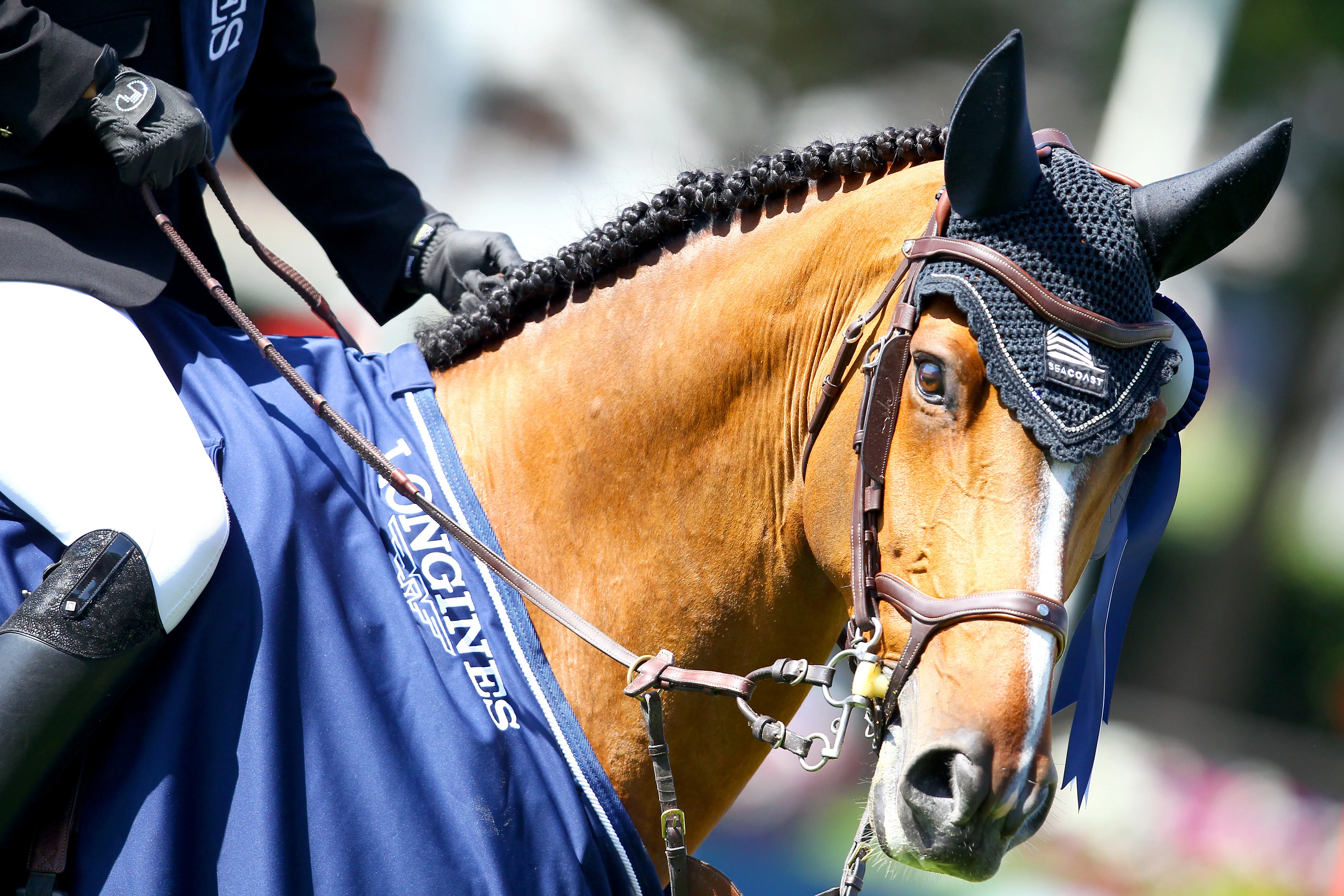 Premier Grand Prix de CSI 5* pour Sea Coast Just The Music, et premier podium !