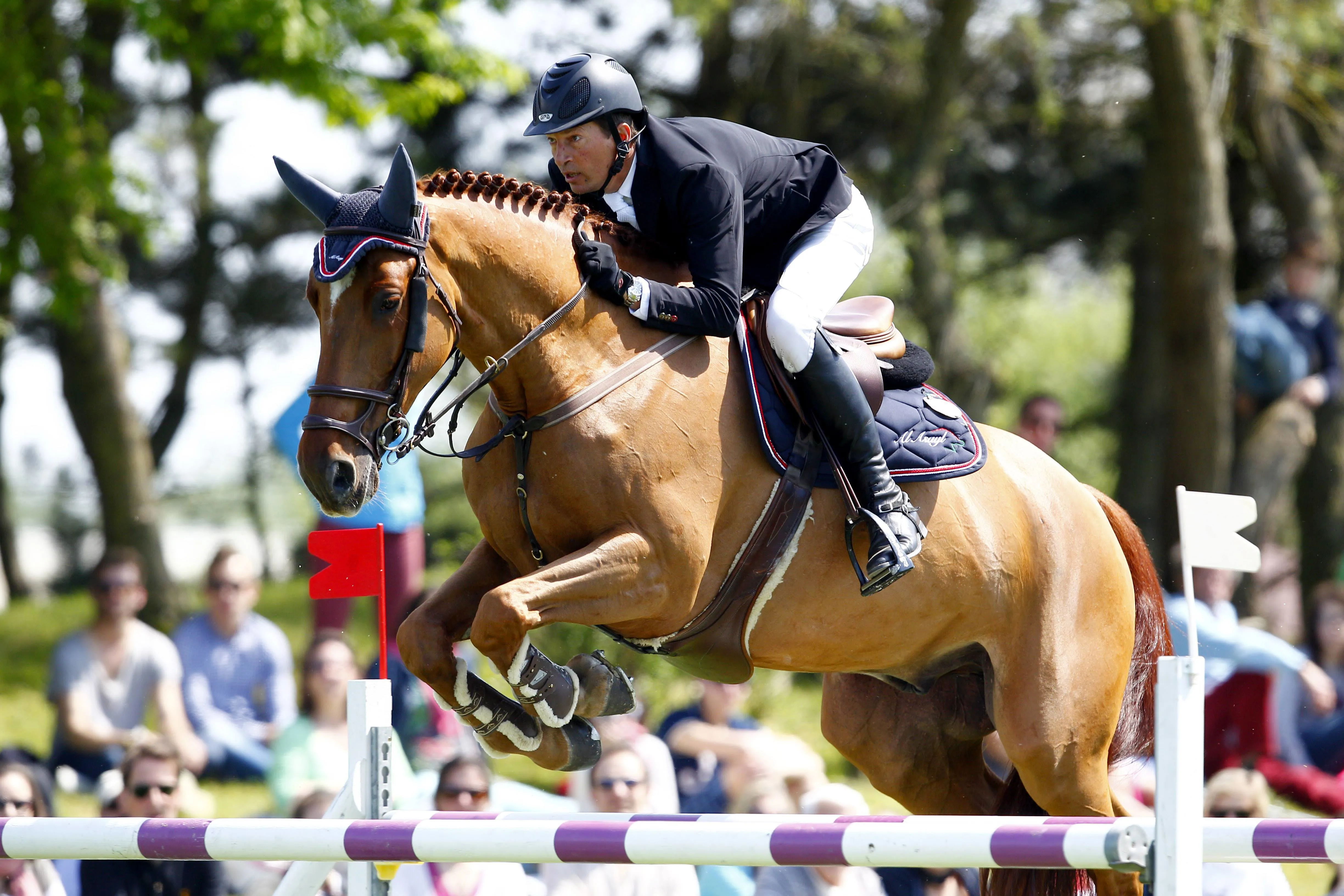 Avec Frédéric David, Equador van't Roosakker a gravi les échelons du haut-niveau jusqu'à s'imposer en Grands Prix et Coupes des nations.