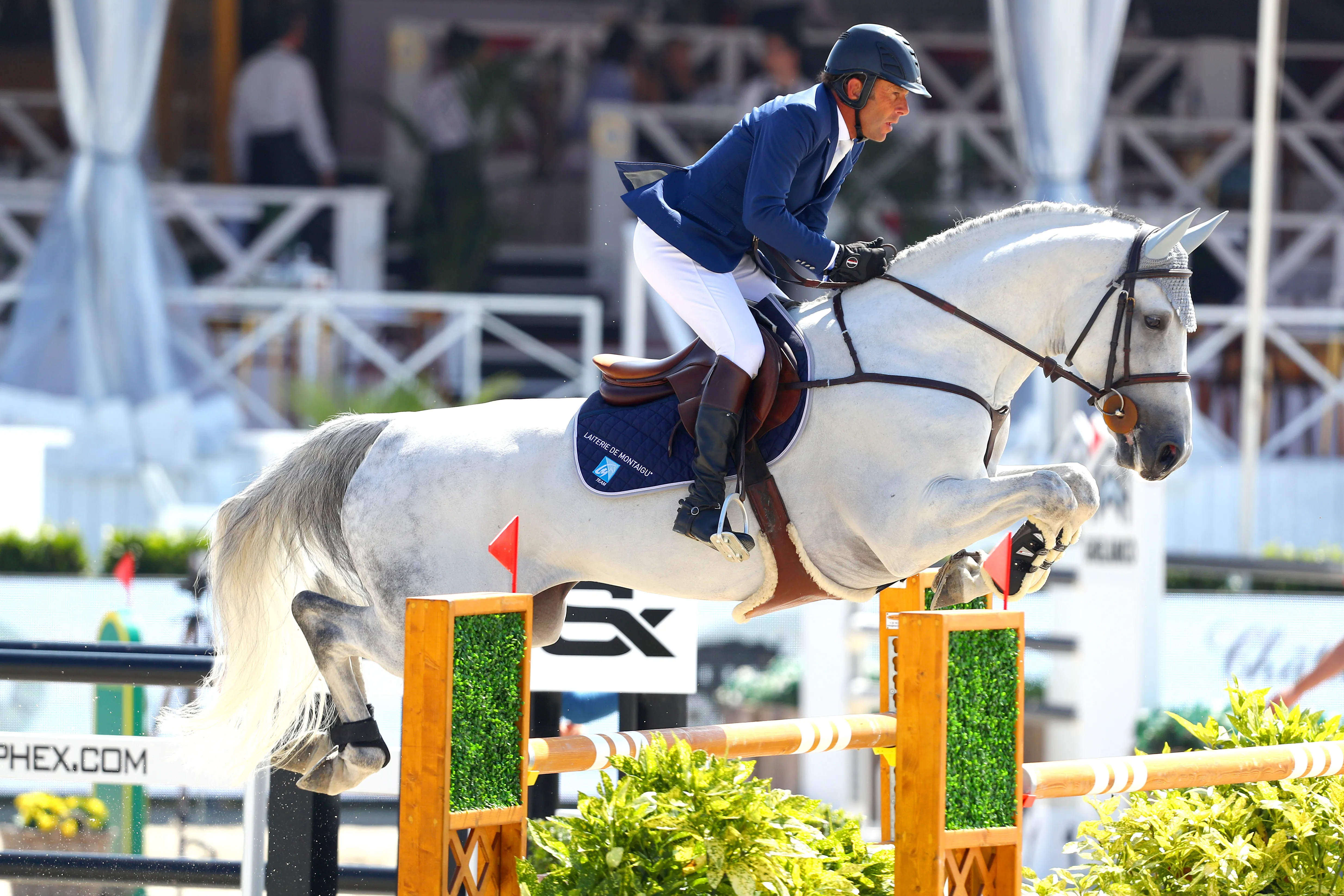 Le Coltre de Muze est désormais assuré de poursuivre sa carrière sous la selle du champion olympique par équipes.
