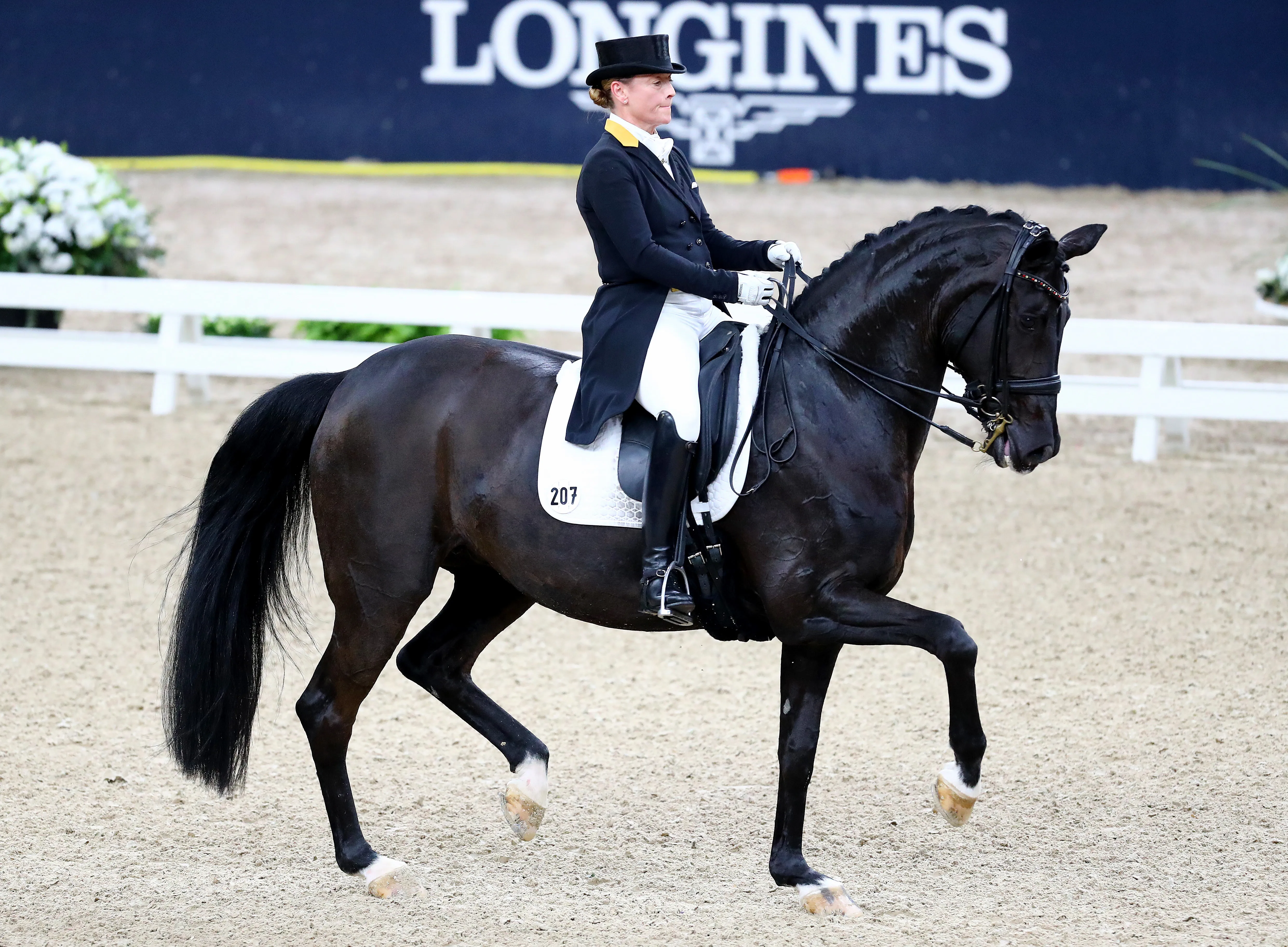 Weihegold a une fois de plus prouvé sa régularité aujourd'hui à Göteborg.