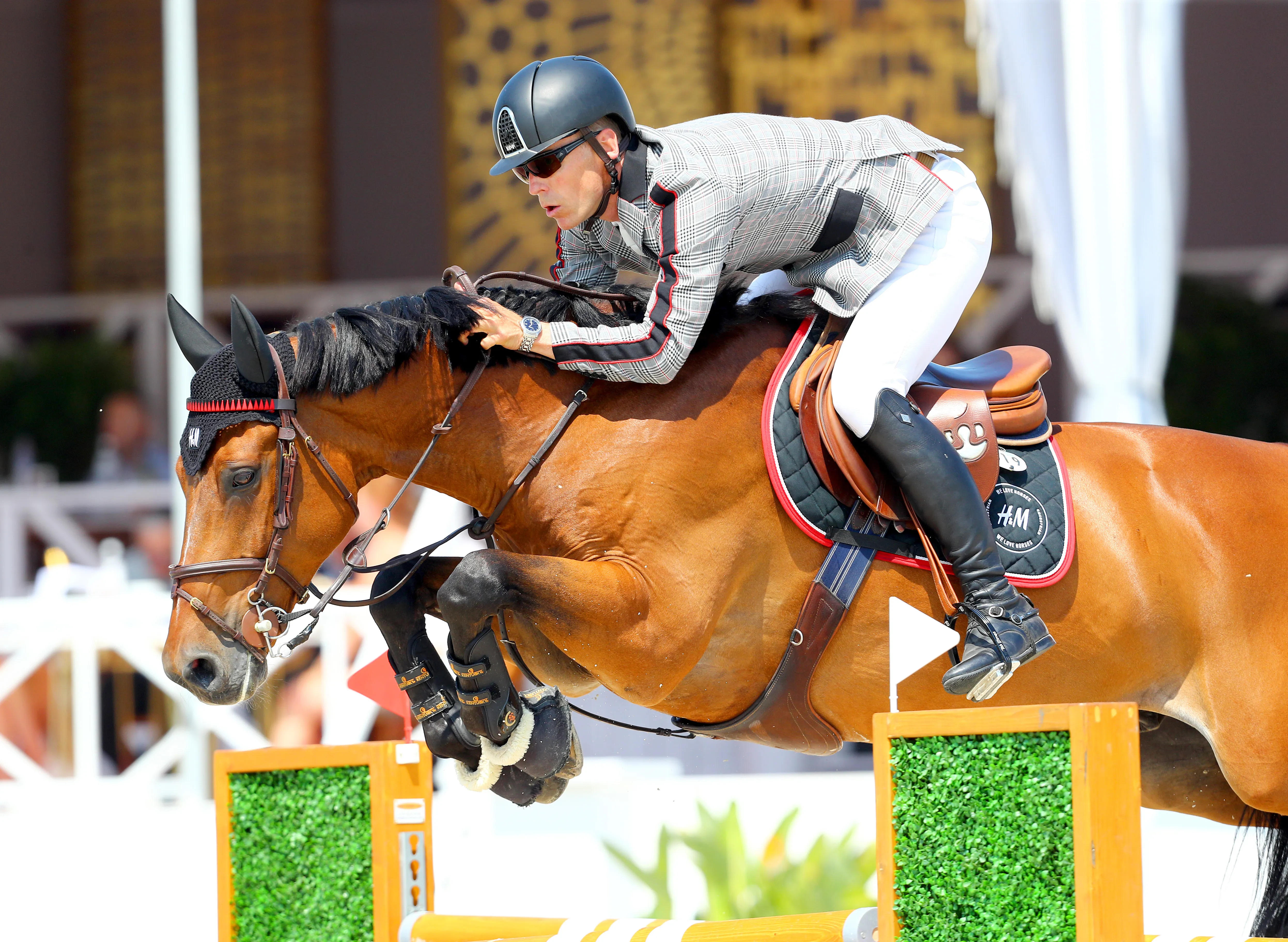 Après une convalescence de plusieurs mois, H&M All In, ici en photo à Knokke, a fait son retour à la compétition récemment.