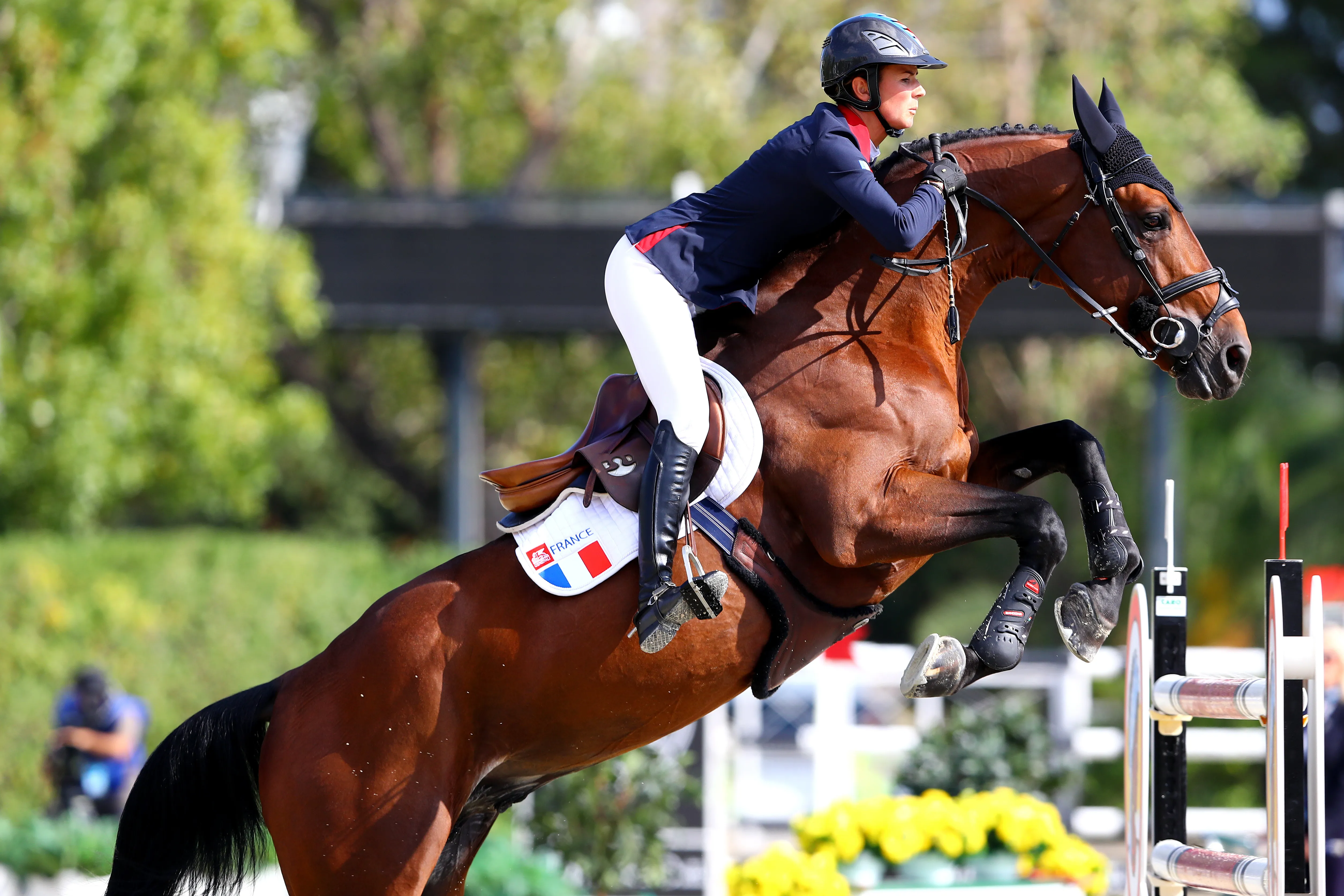 Deuxième de la finale de la Coupe du monde Longines en 2015 à Las Vegas avec Pénélope Leprevost, Vagabond de la Pomme a également représenté la France aux championnats d’Europe Longines de Göteborg et ici à la finale de la Coupe des nations Longines de Ba