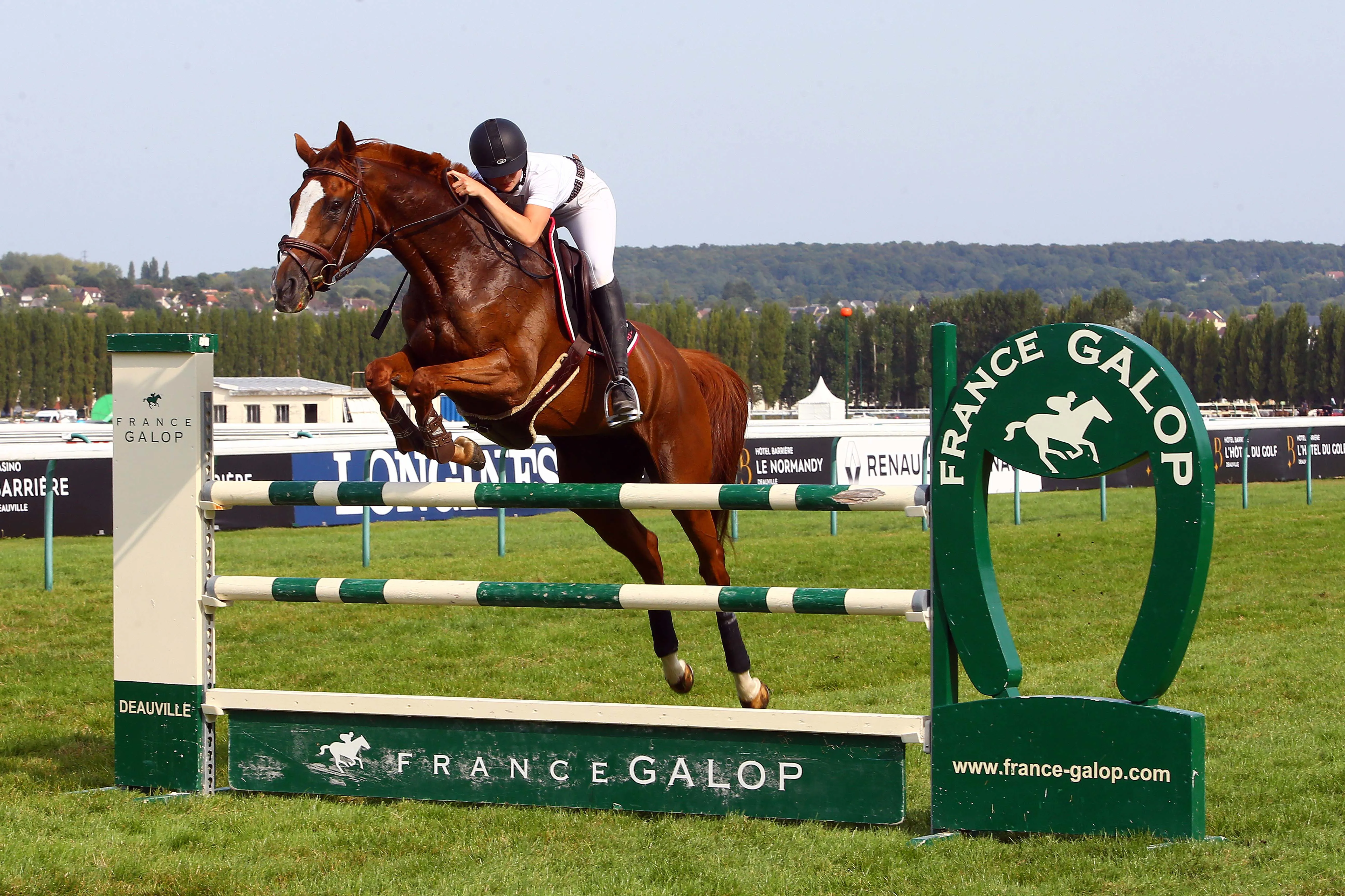 Journée de la reconversion des chevaux de course 2017 – Hippodrome de Deauville