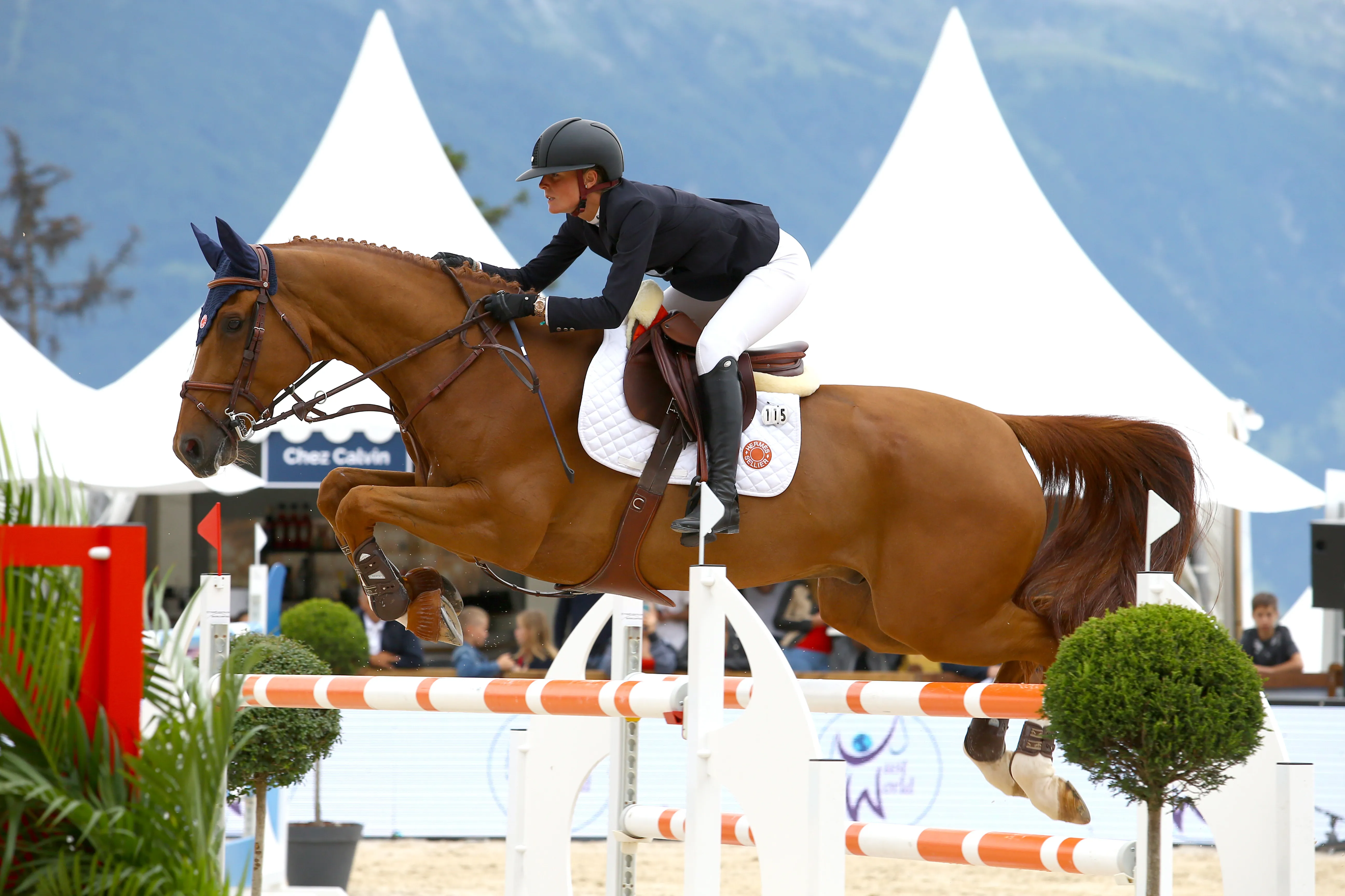 Meilleur cheval de la Suissesse, Arizona Star a un tempérament bien particulier. 