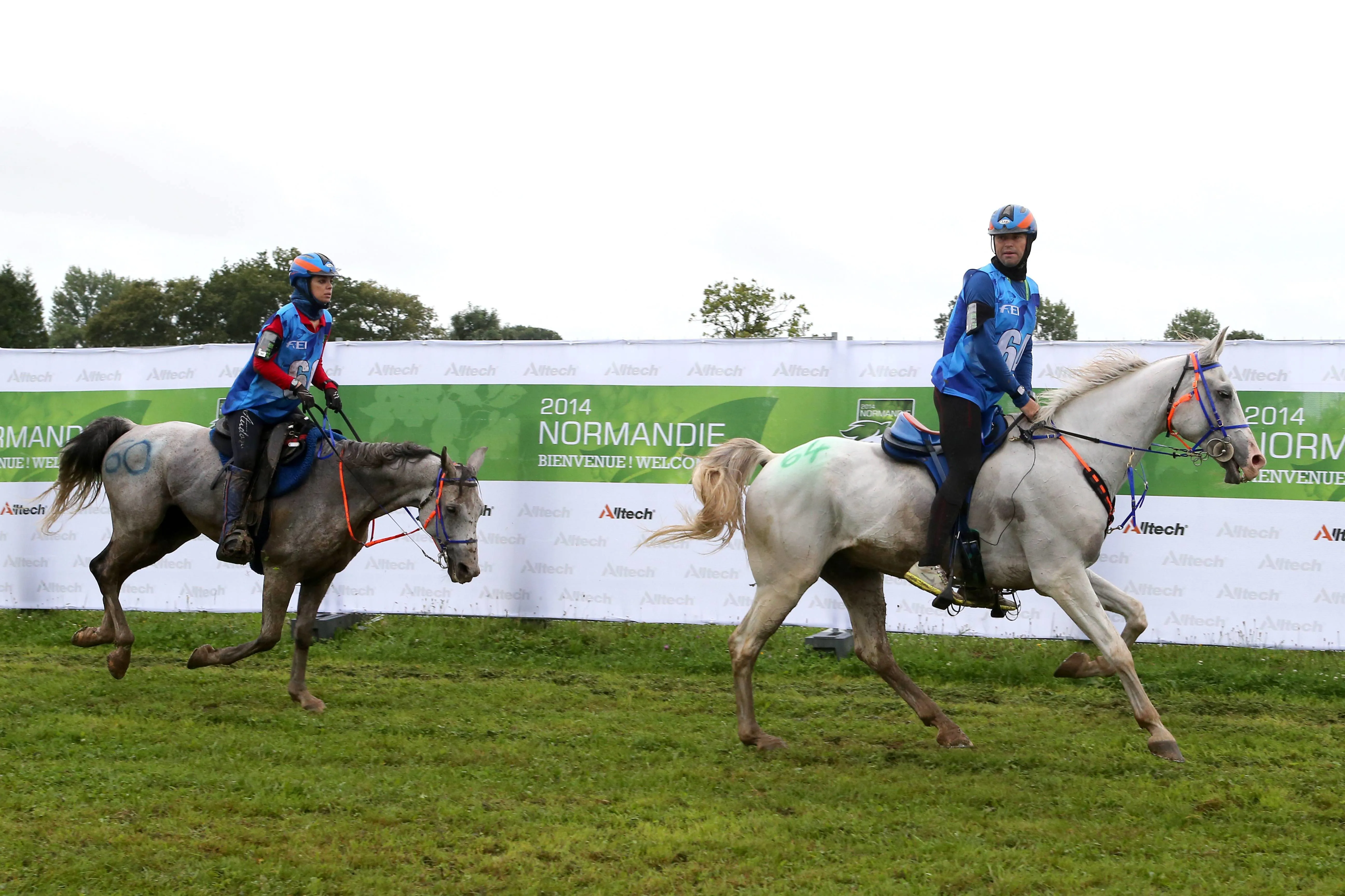 Aux JEM de Normandie, en 2014, le champion catalan a su braver tous les pièges avec Novisaad d’Aqui, permettant à l’Espagne de se hisser sur la plus haute marche du podium, pour le plus grand bonheur de sa compagne, éliminée  avec Qualif du Poncelet.