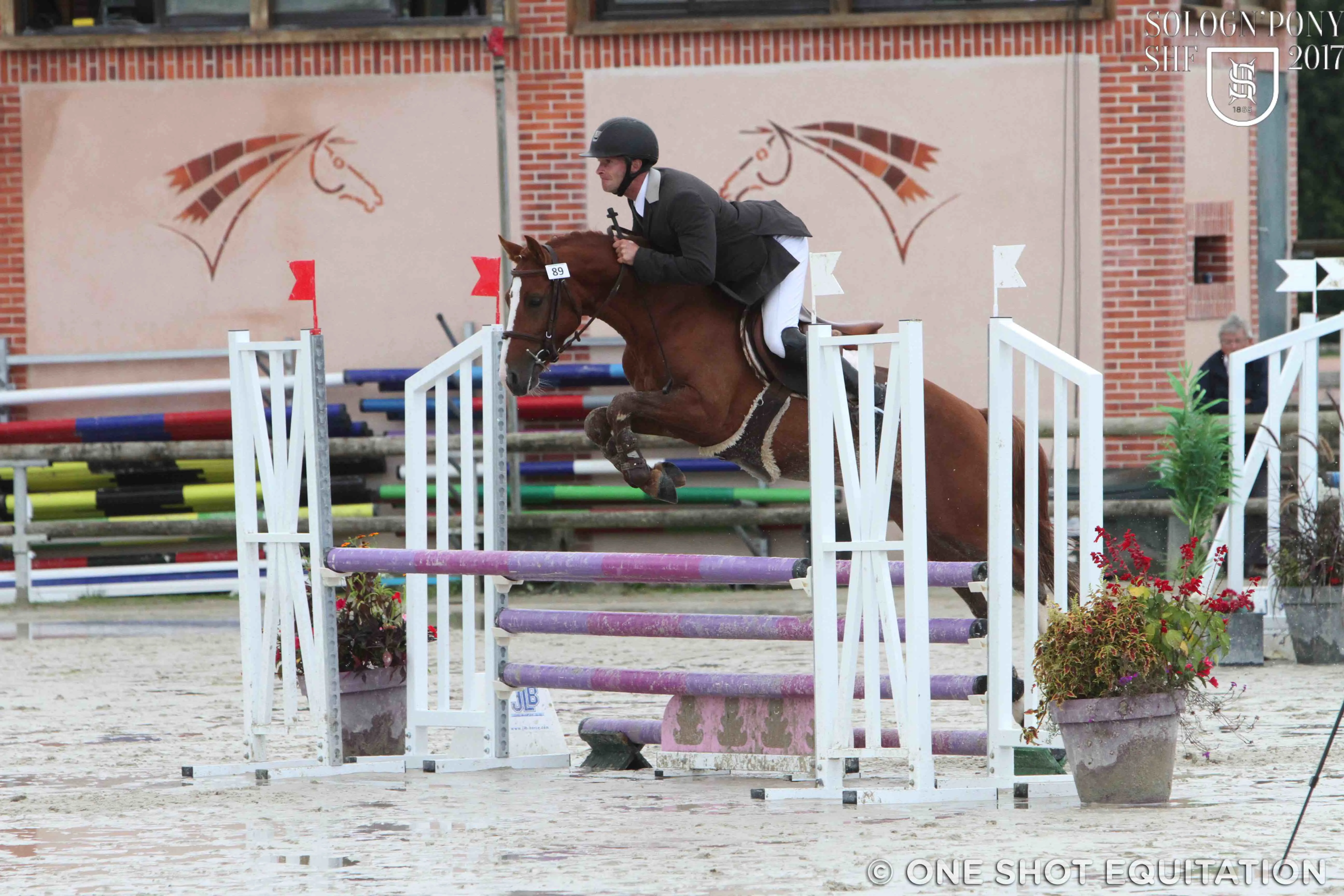 Dinaro de Lavault, champion dans les 4 ans C.