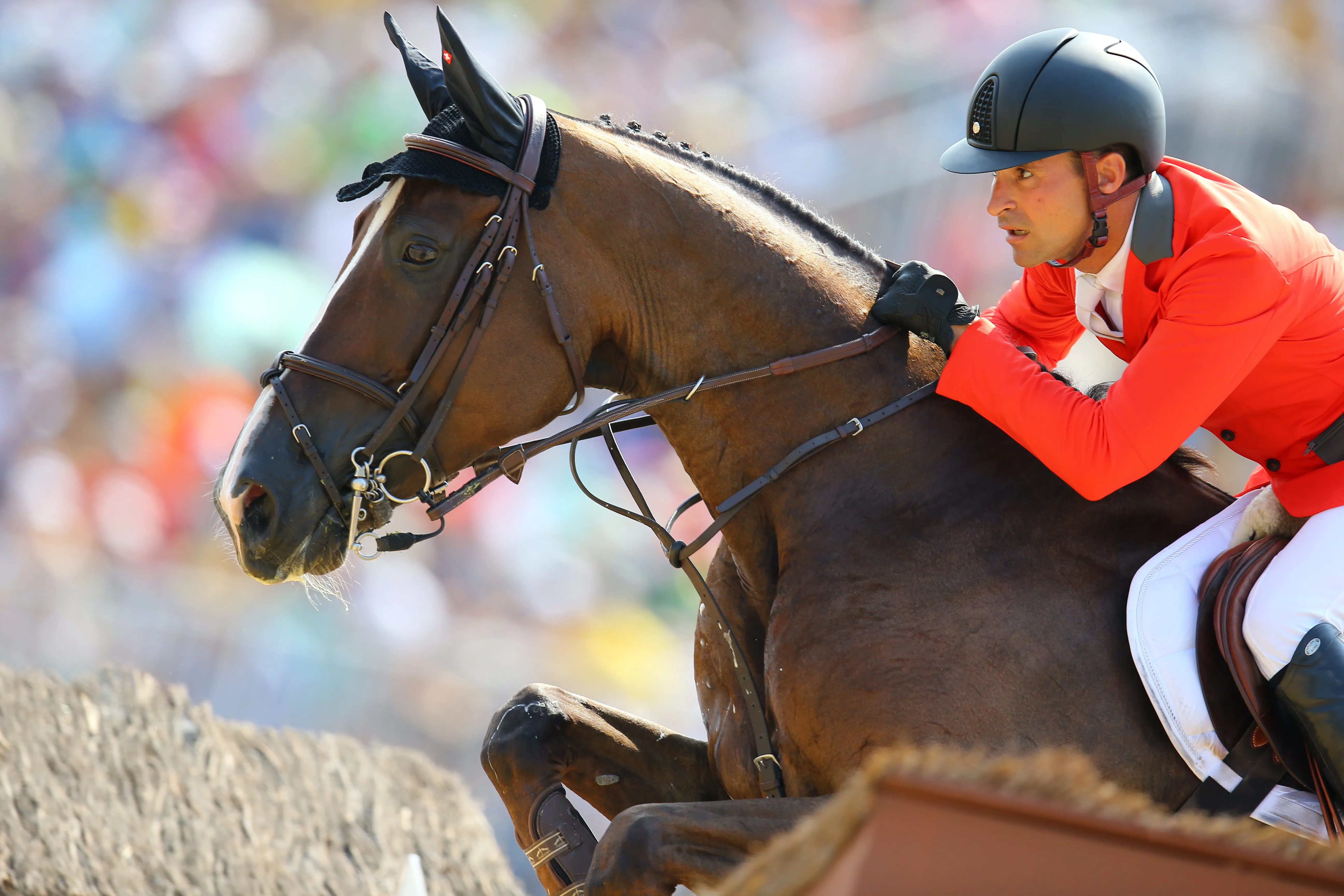 Écartée des terrains de compétition de longs mois, Quorida de Treho va faire son retour ce week-end à Oliva.