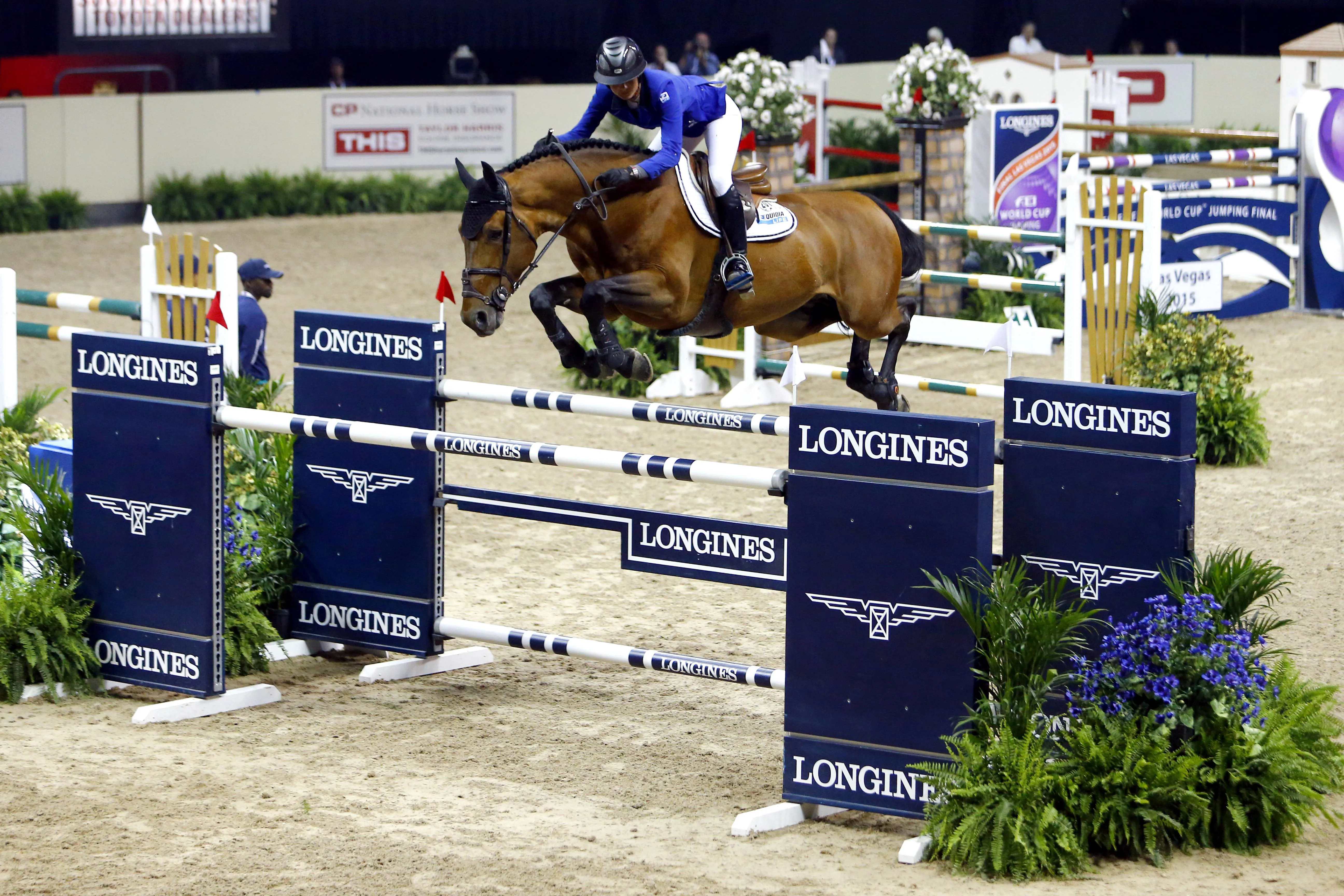 Pour son premier championnat, Vagabond de la Pomme avait ébloui son monde en terminant deuxième de la finale de la Coupe du monde de Las Vegas.