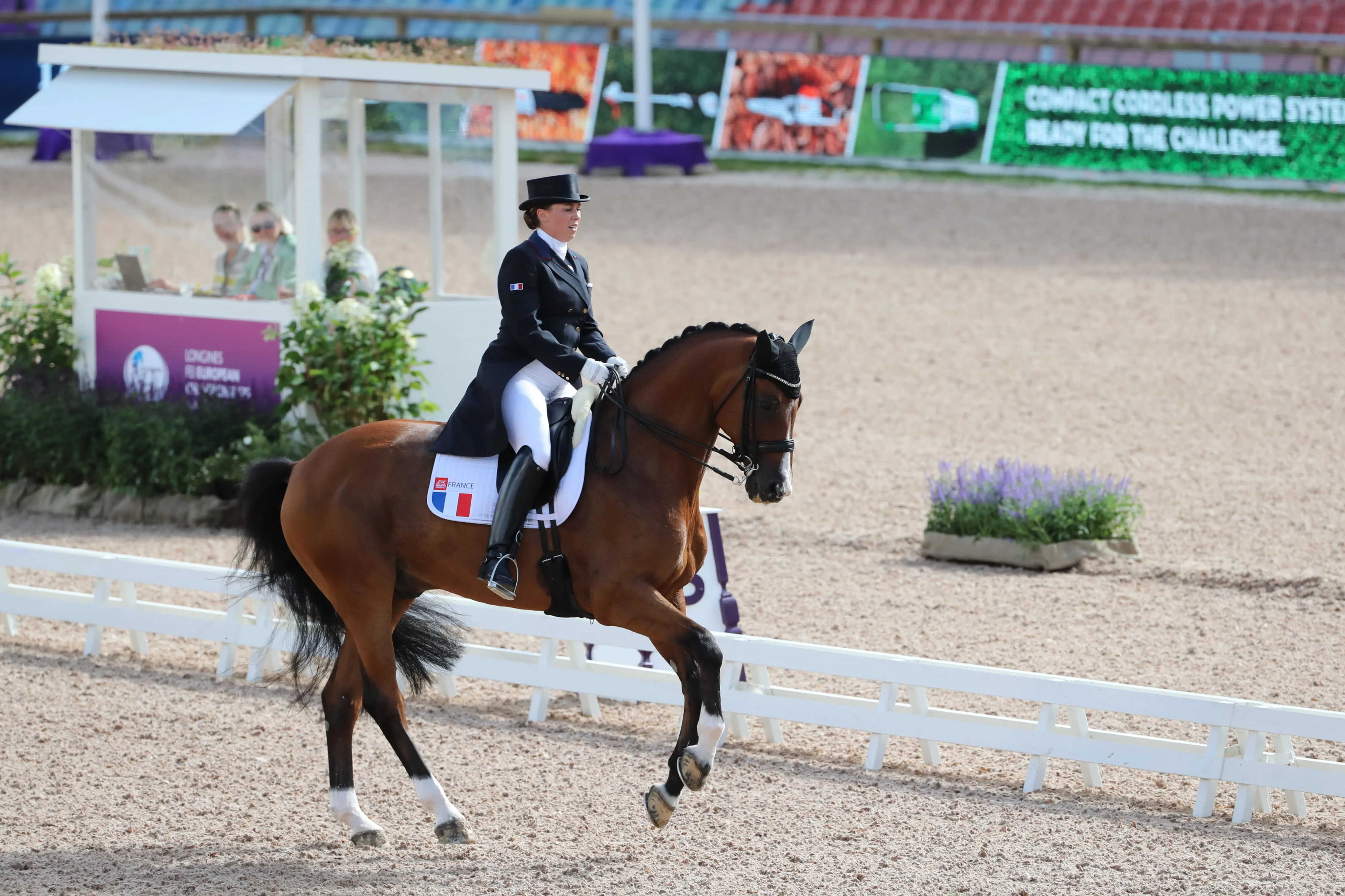 Marie Emilie emmène souvent son fidèle Quartz of Jazz sur les pistes de galop de Chantilly