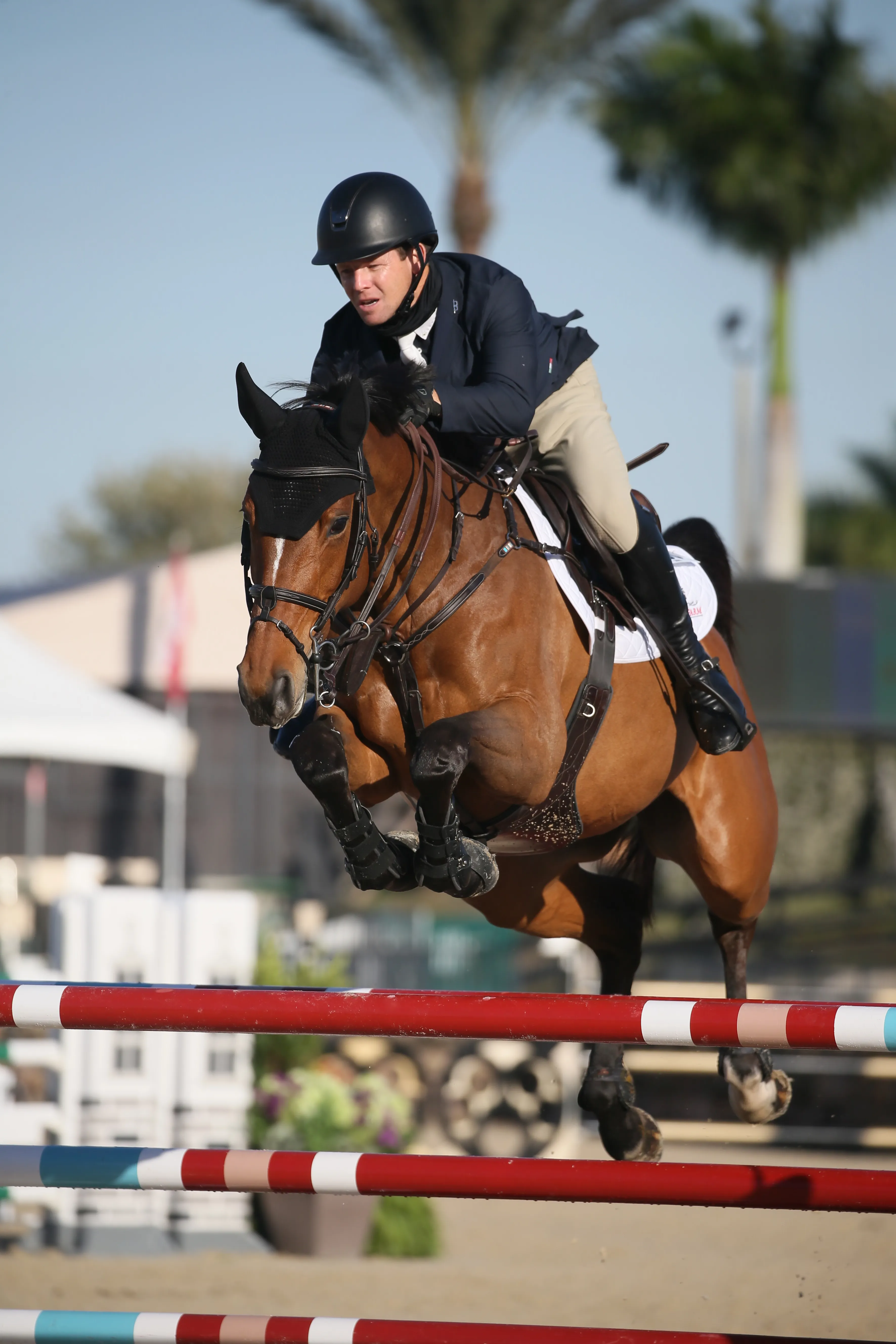 Shane Sweetnam et Karlin van't Vennehof, ici à Wellington, se sont adjugé la deuxième place du Grand Prix CSI 5* d'Angelstone aujourd'hui.