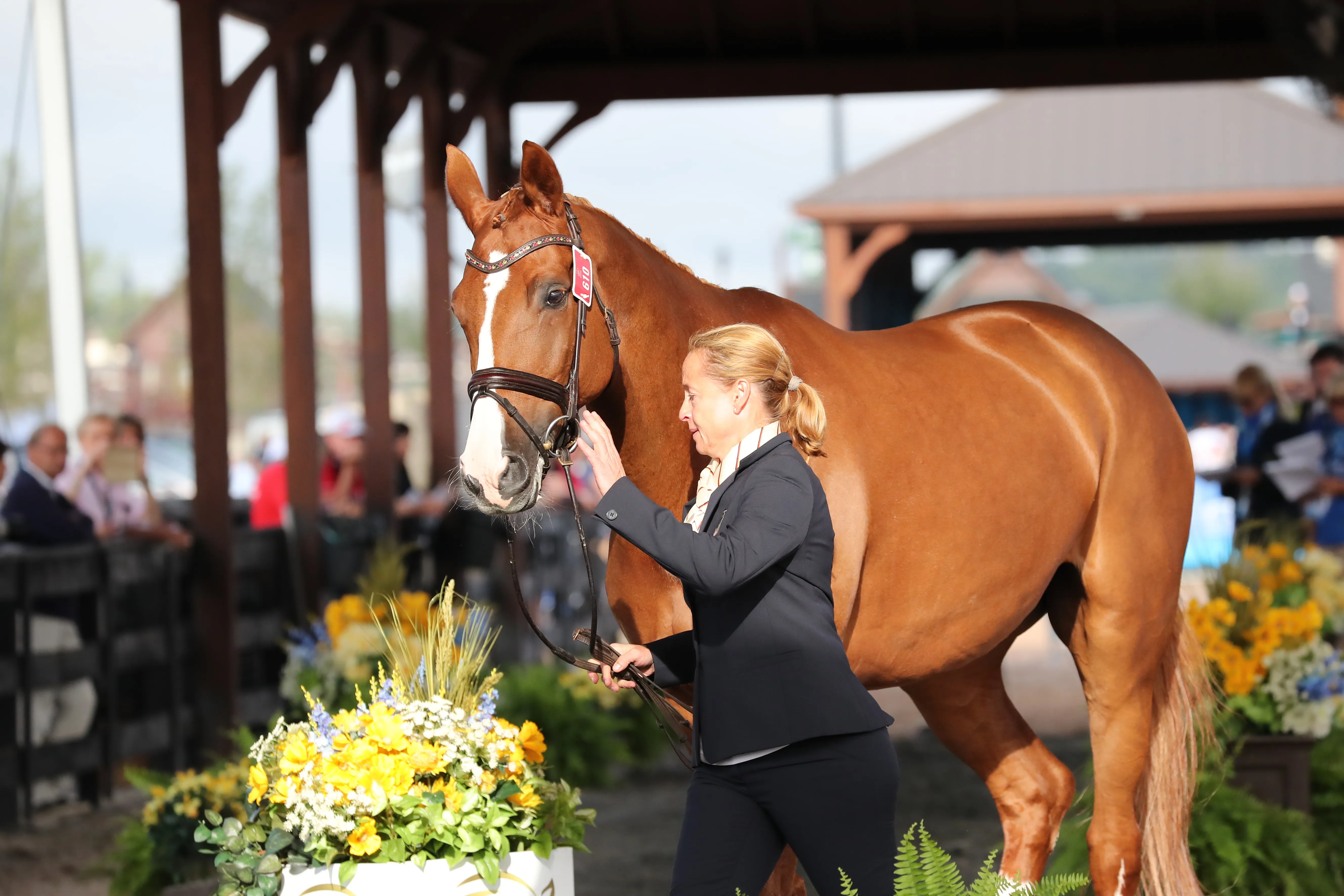 Bella Rose 2 lors de la visite vétérinaire à Tryon avec sa cavalière Isabell Werth