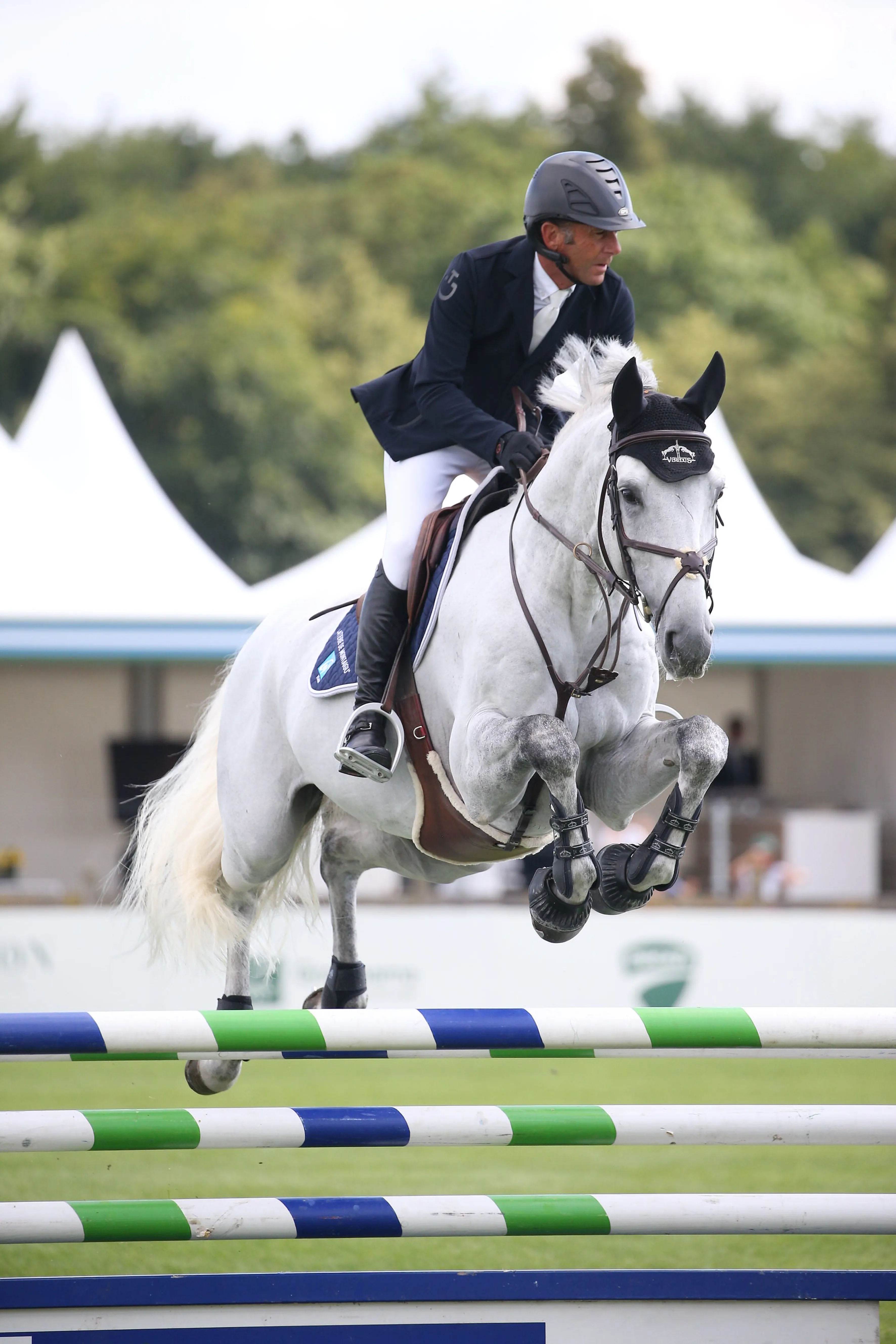 Le champion olympique considère Night Light van't Ruytershof, âgé de huit ans, comme l'un de ses chevaux d'avenir. 
