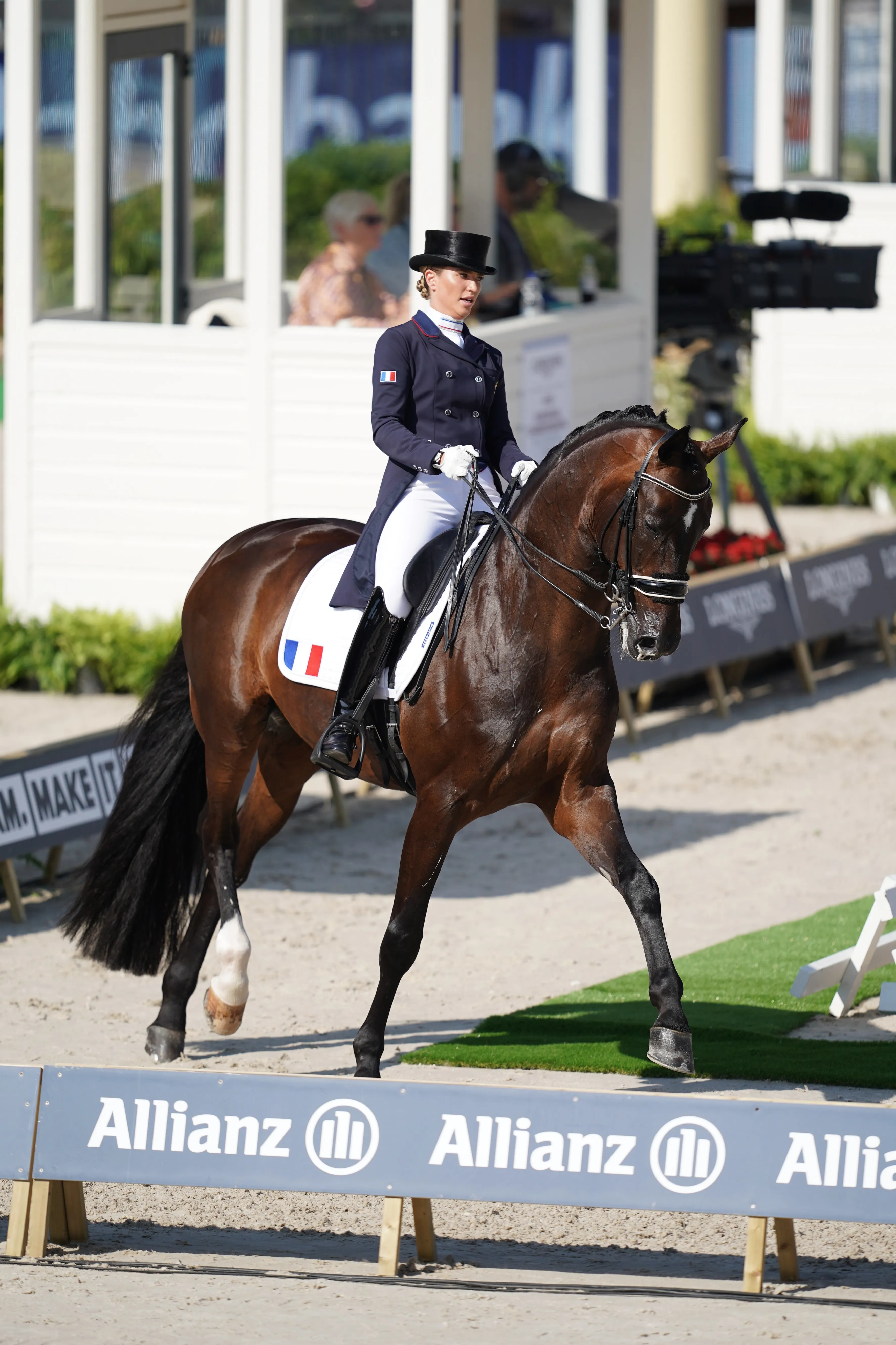 Morgan Barbançon Mestre et Sir Donnerhall II aux championnats d'Europe de Rotterdam en 2019.