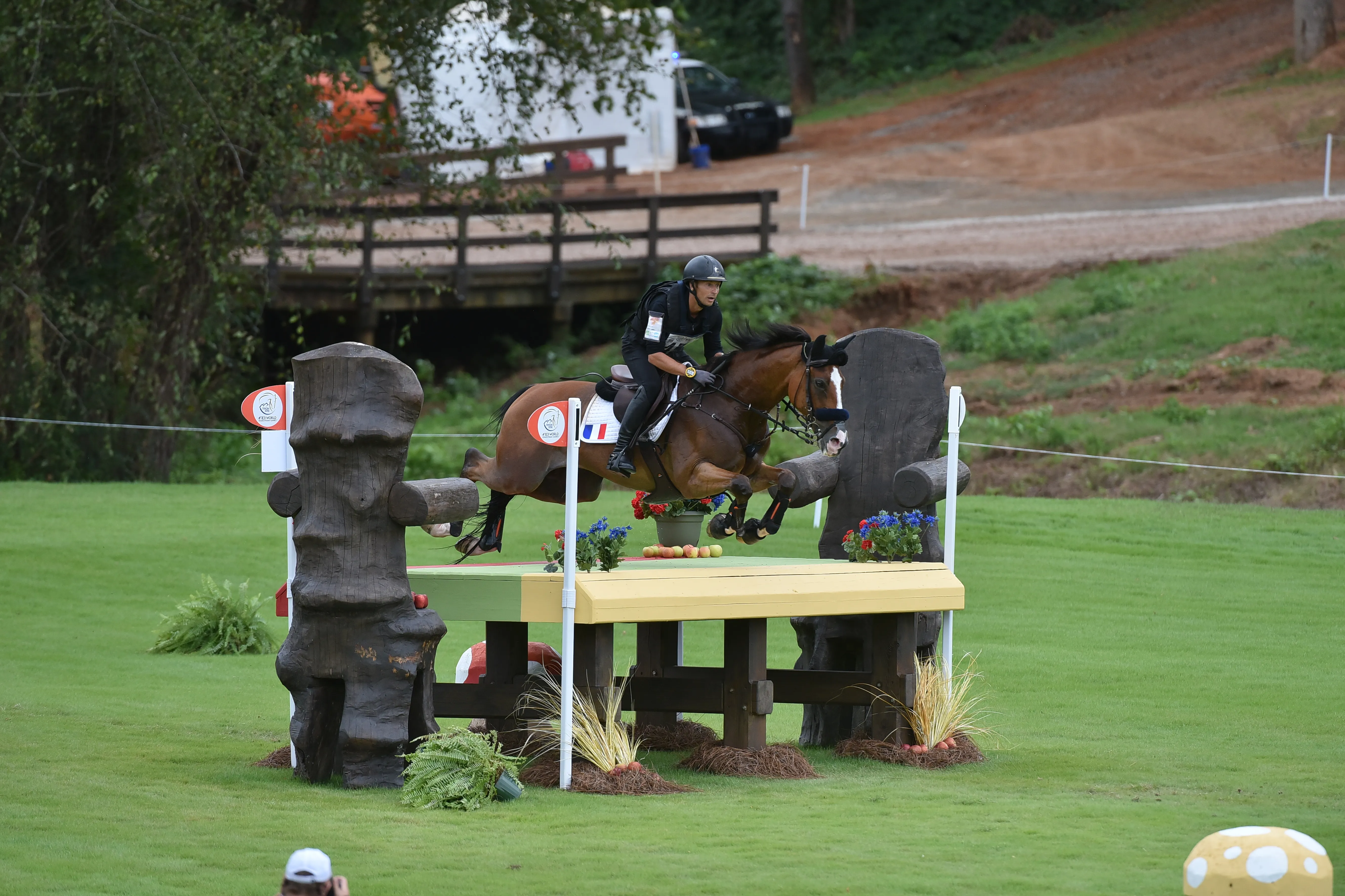 Qing du Briot*IFCE a été de toutes les sélections en équipe de France depuis 2015 sous la selle du Lieutenant-Colonel Thibaut Vallette.