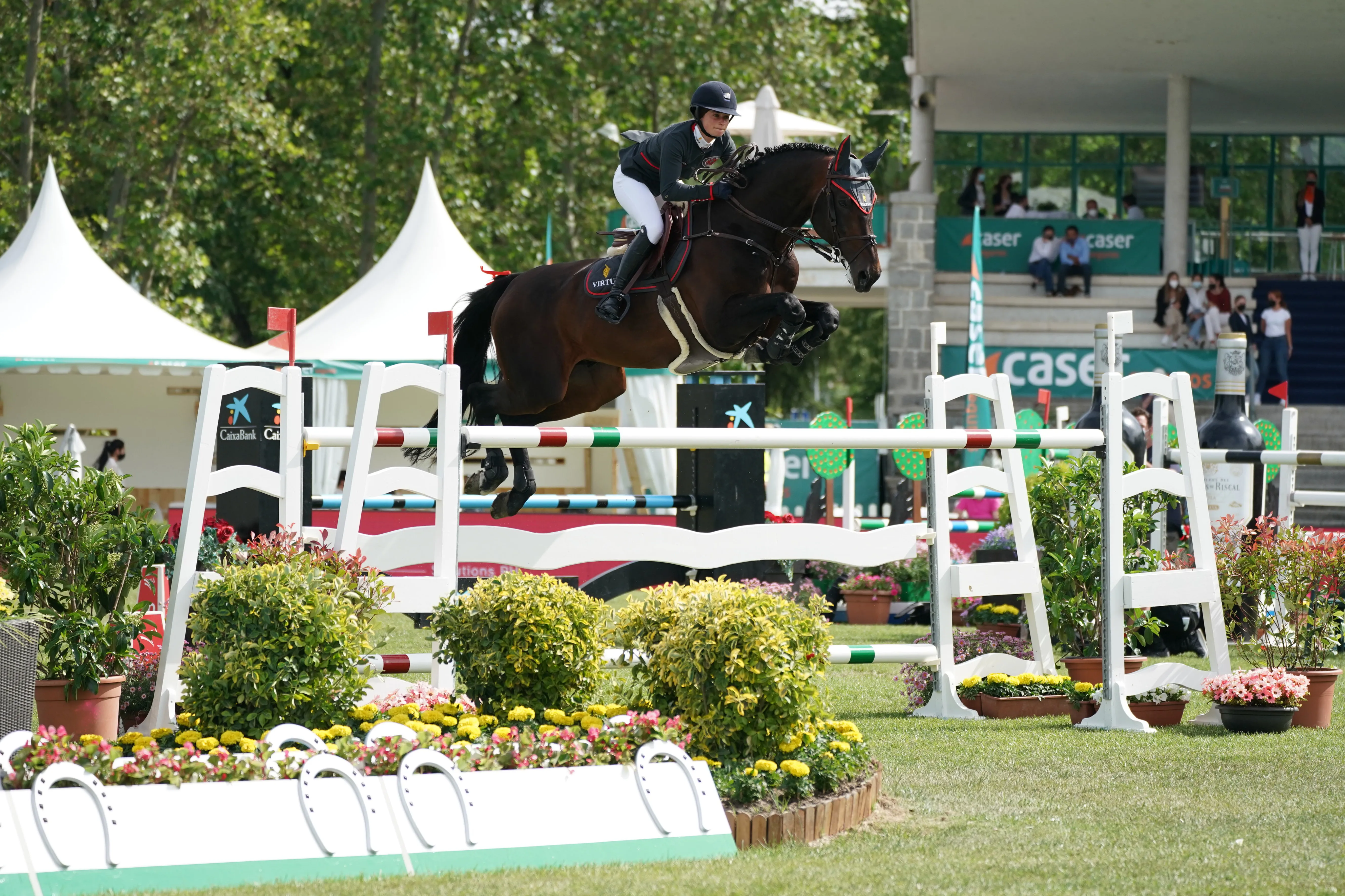 En mai, Jeanne Sadran et son étalon de douze ans, Vannan, ont participé au CSI 5* de Madrid, en Espagne. 