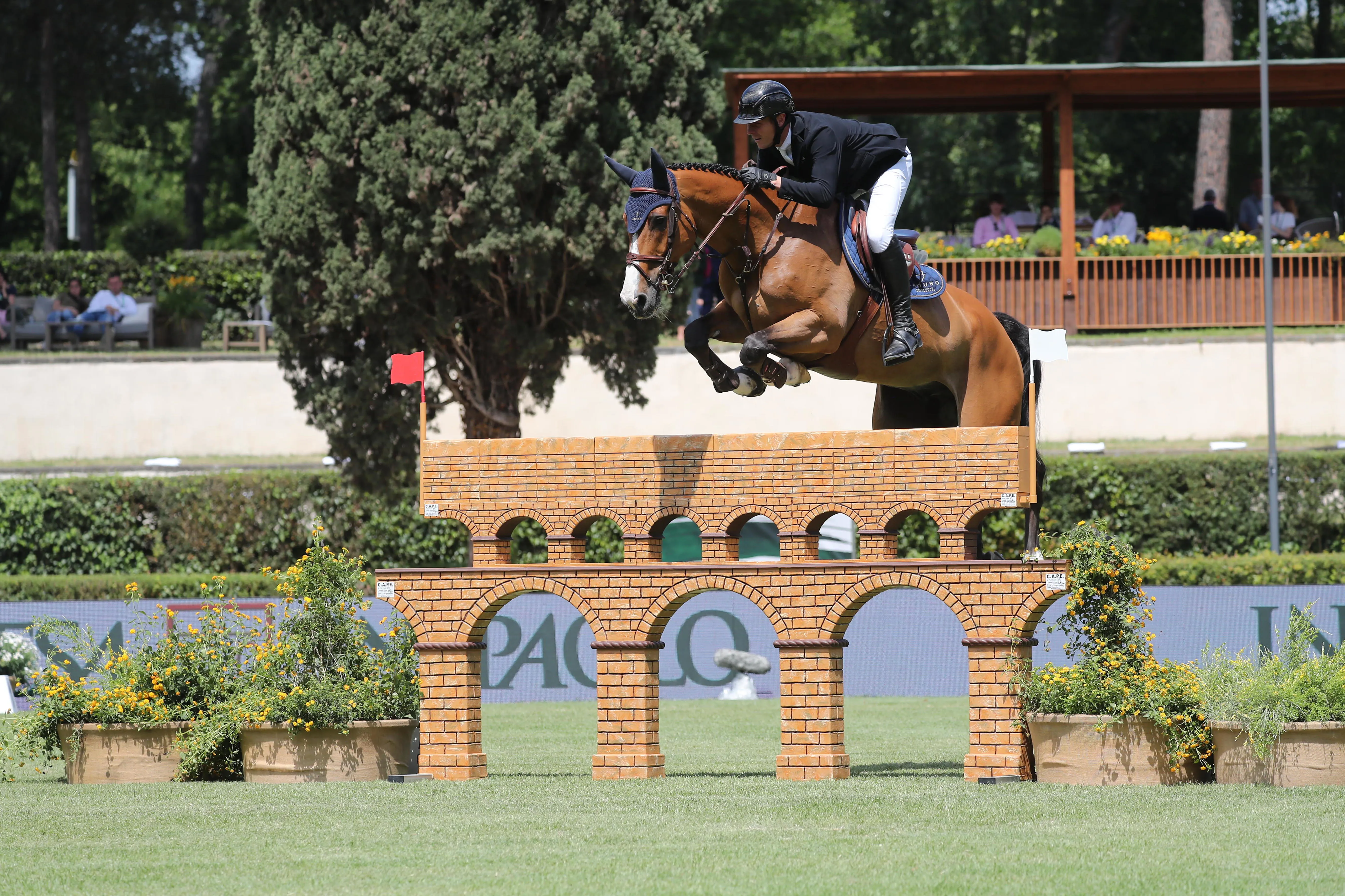 Le 30 mai dernier, David will s'est imposé avec C Vier 2 dans le difficile Grand Prix du CSIO 5* de Rome, en Italie. 