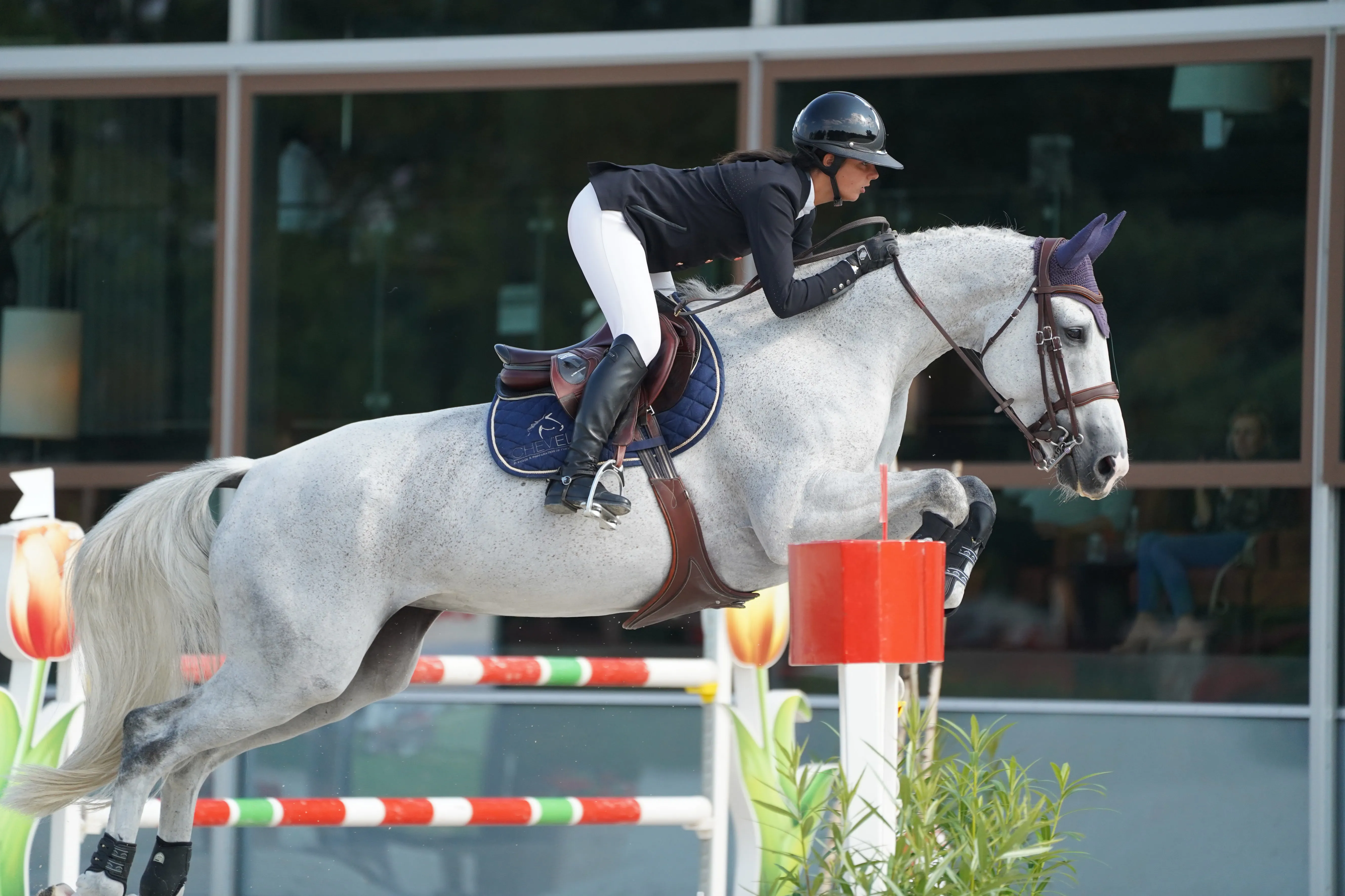 Nina Mallevaey place de grands espoirs en sa fille d'Urtillo vd Heffinck, Comely de l’Hallali. 