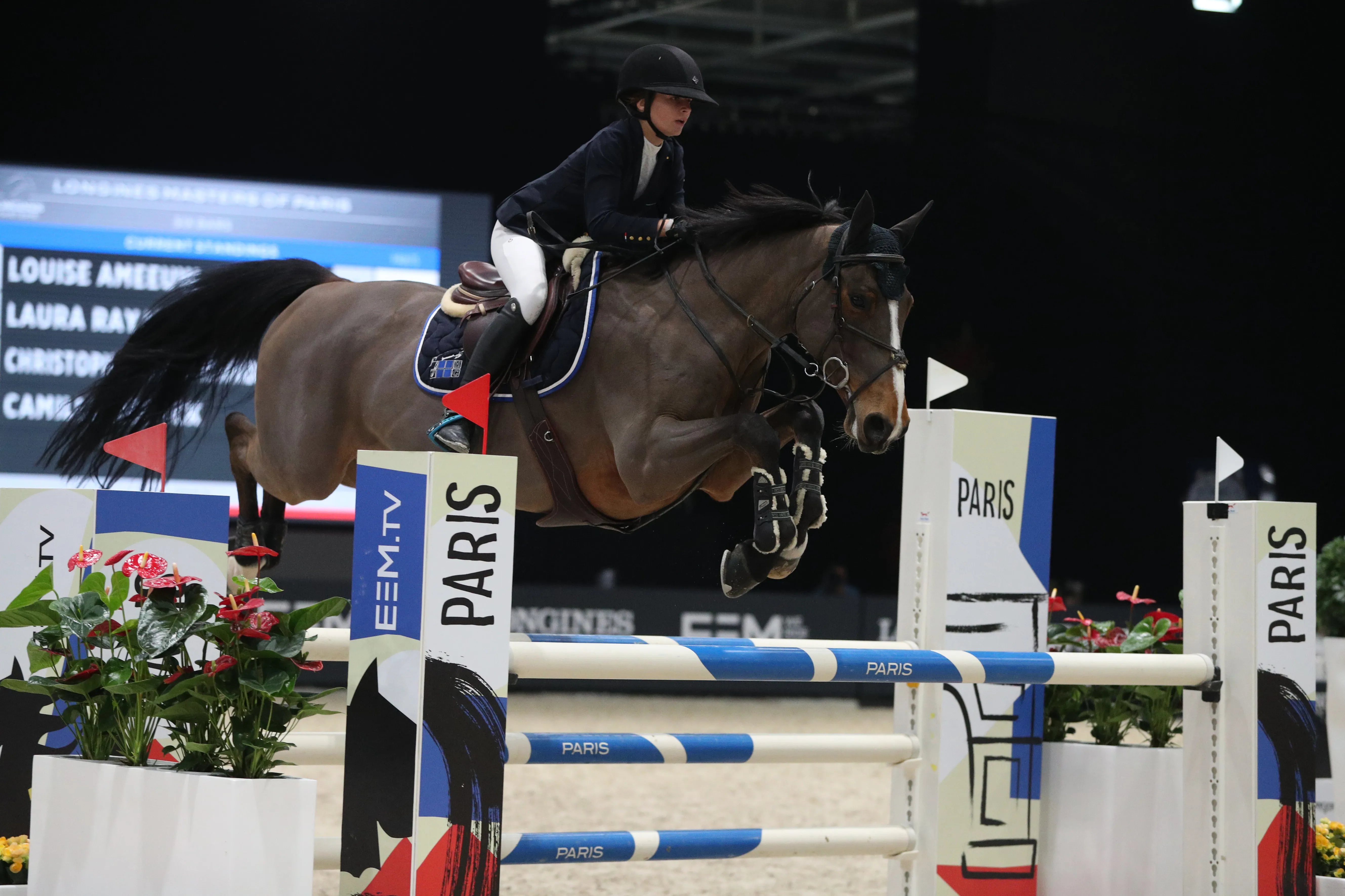 Vandor de Mazure est le premier cheval, et le cheval de cœur, de Vera Desutter.