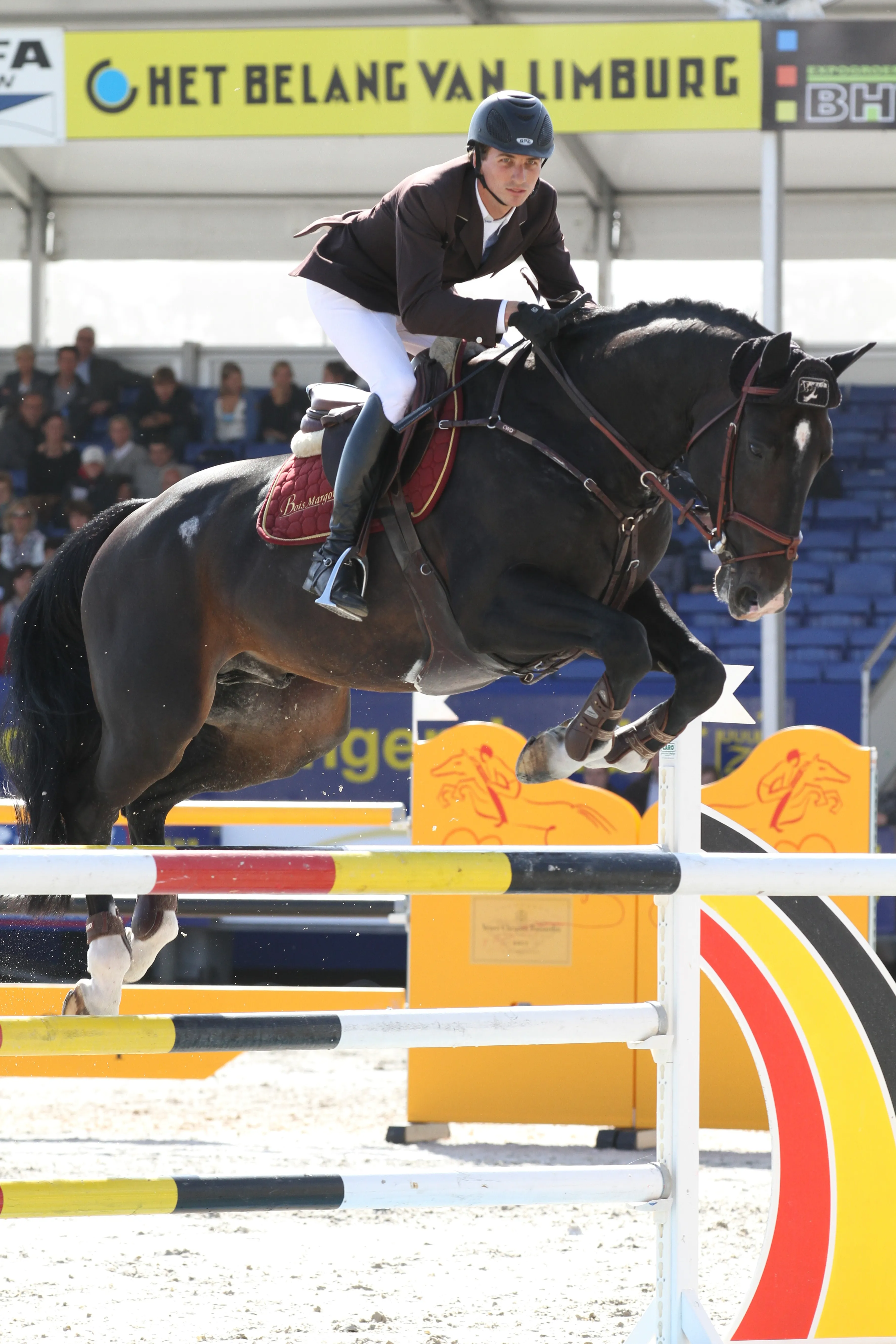 Formé par Benjamin Robert, Qlassic Bois Margot passera ensuite sous la selle de Simon Delestre. 