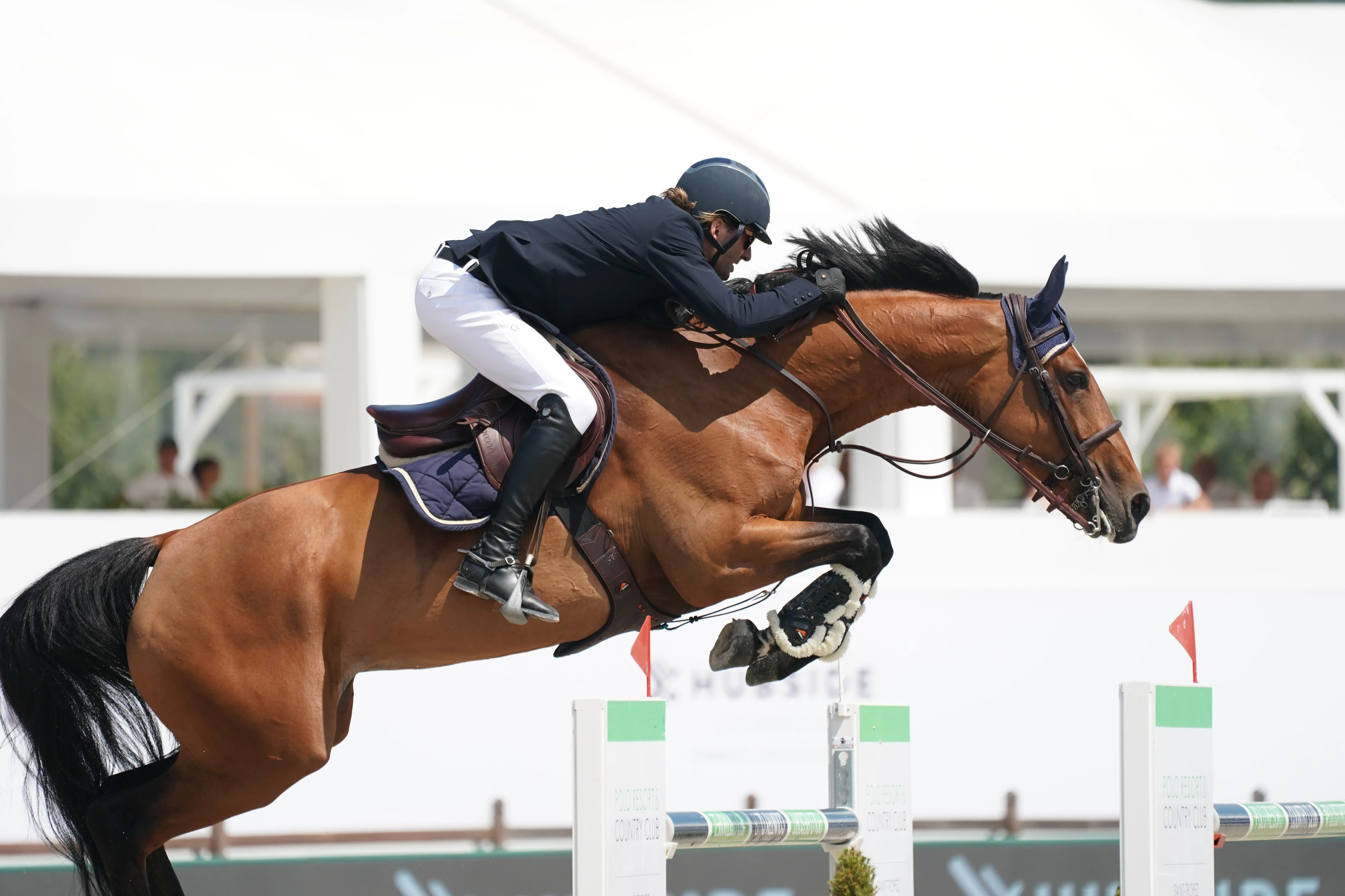 Fairness Hero Z alterne entre le sport et élevage, et devrait retrouver Guillaume Foutrier l’an prochain.