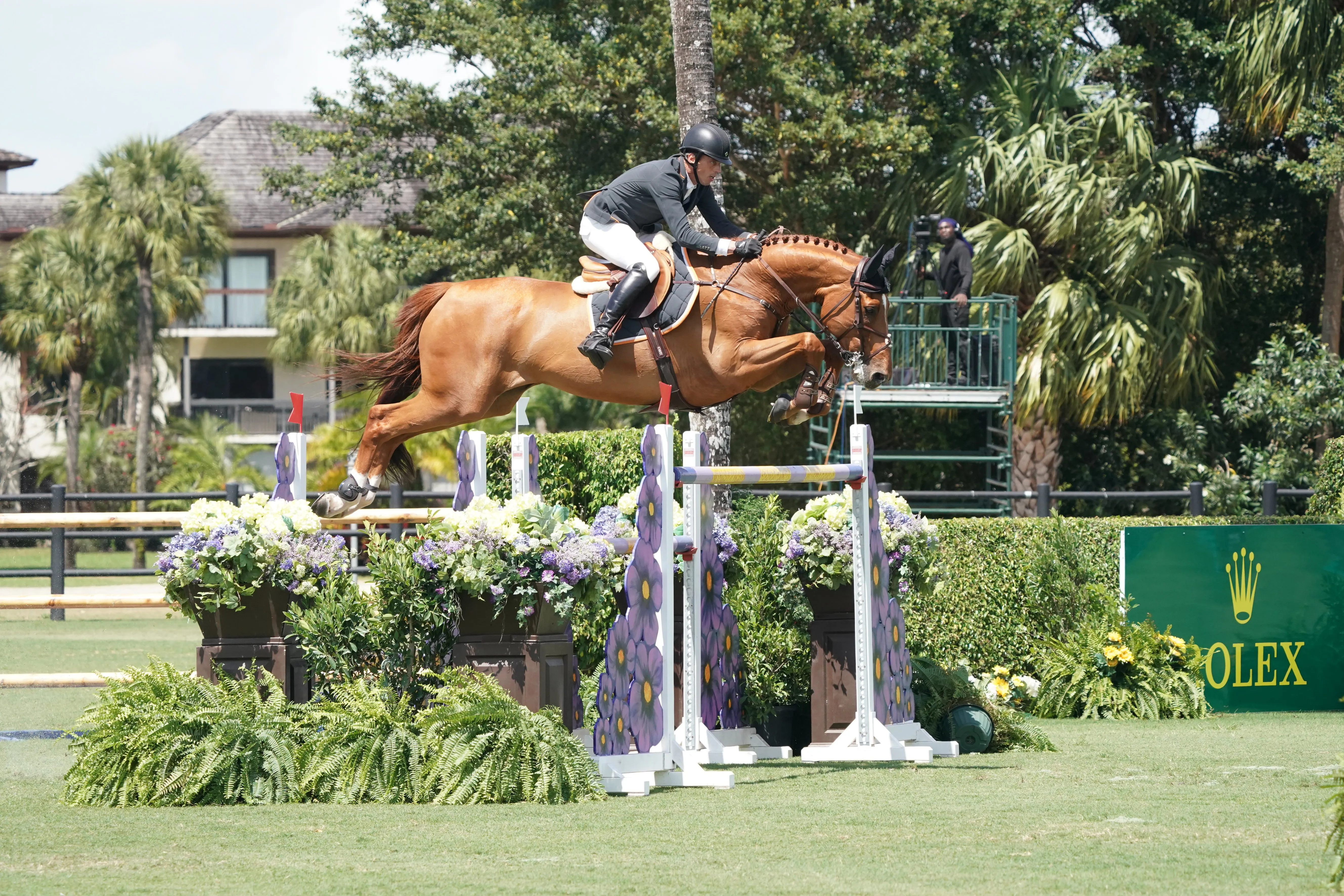 Belle troisième pour Harrie Smolders et son Selle Français Bingo du Parc.