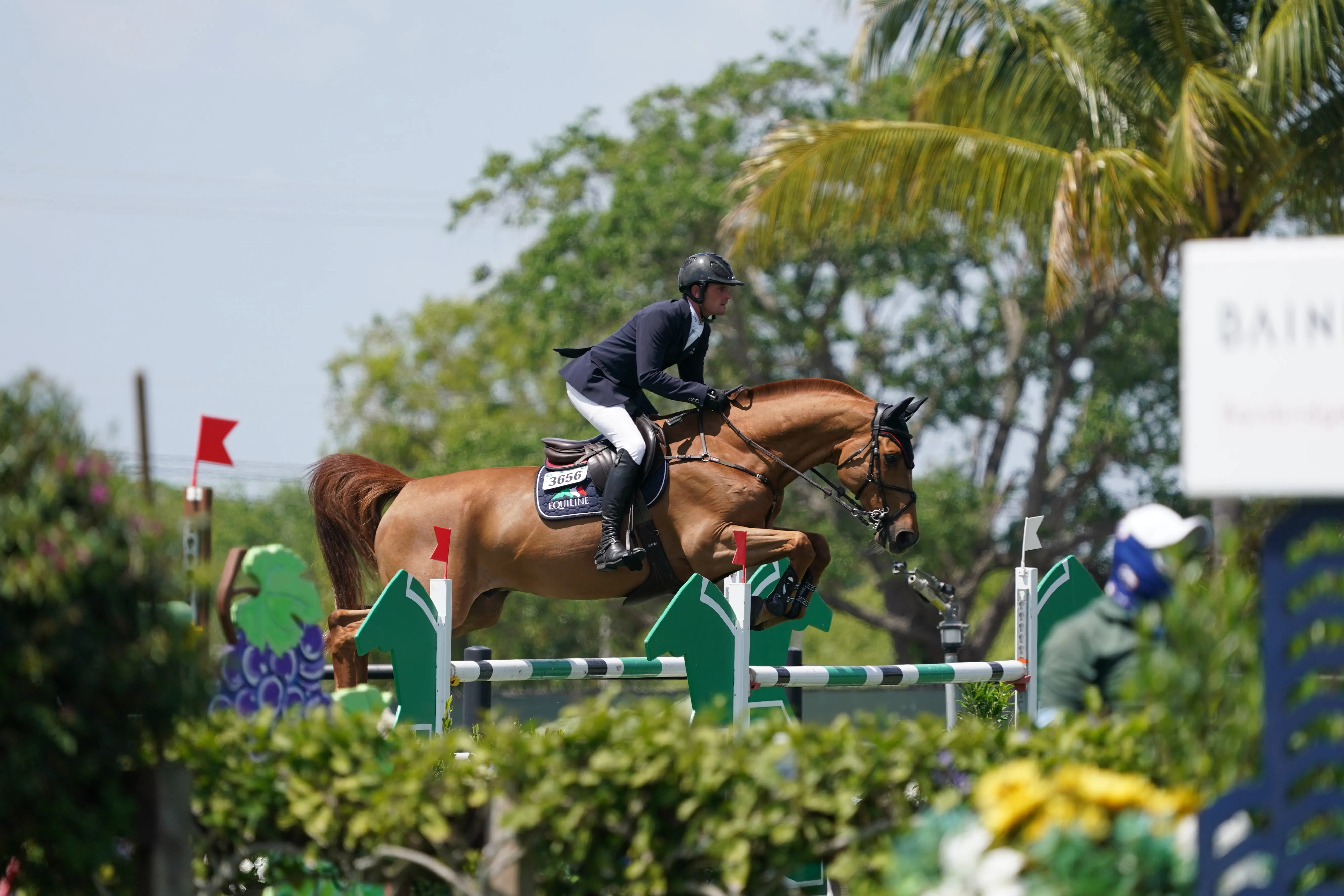 Le Selle Français Vinci de Beaufour s’est classé au troisième rang avec Darragh Kenny.