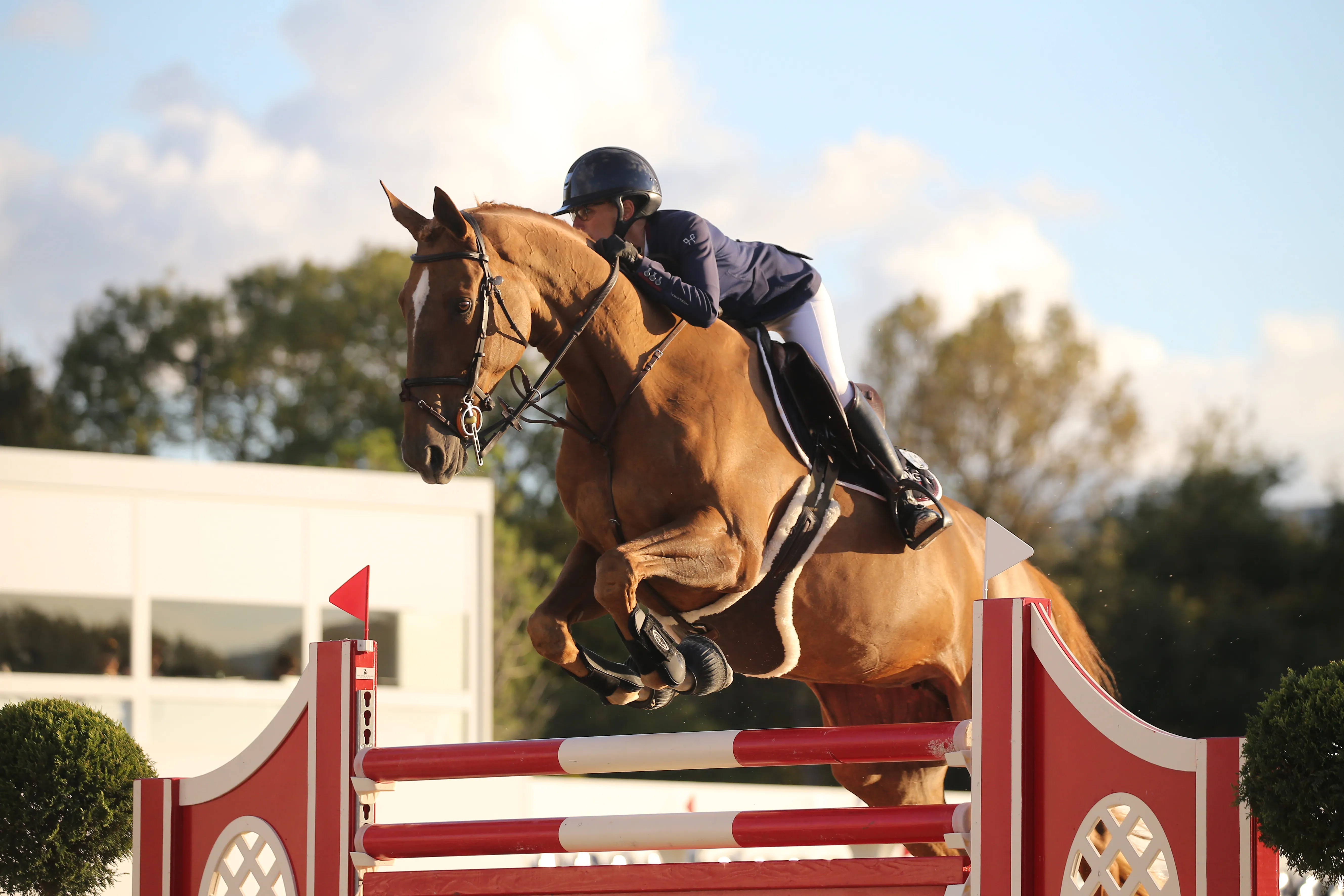 Ici à Grimaud avec Juliette Faligot, Vérité Une Prince a rejoint les écuries de Pénélope Leprevost.