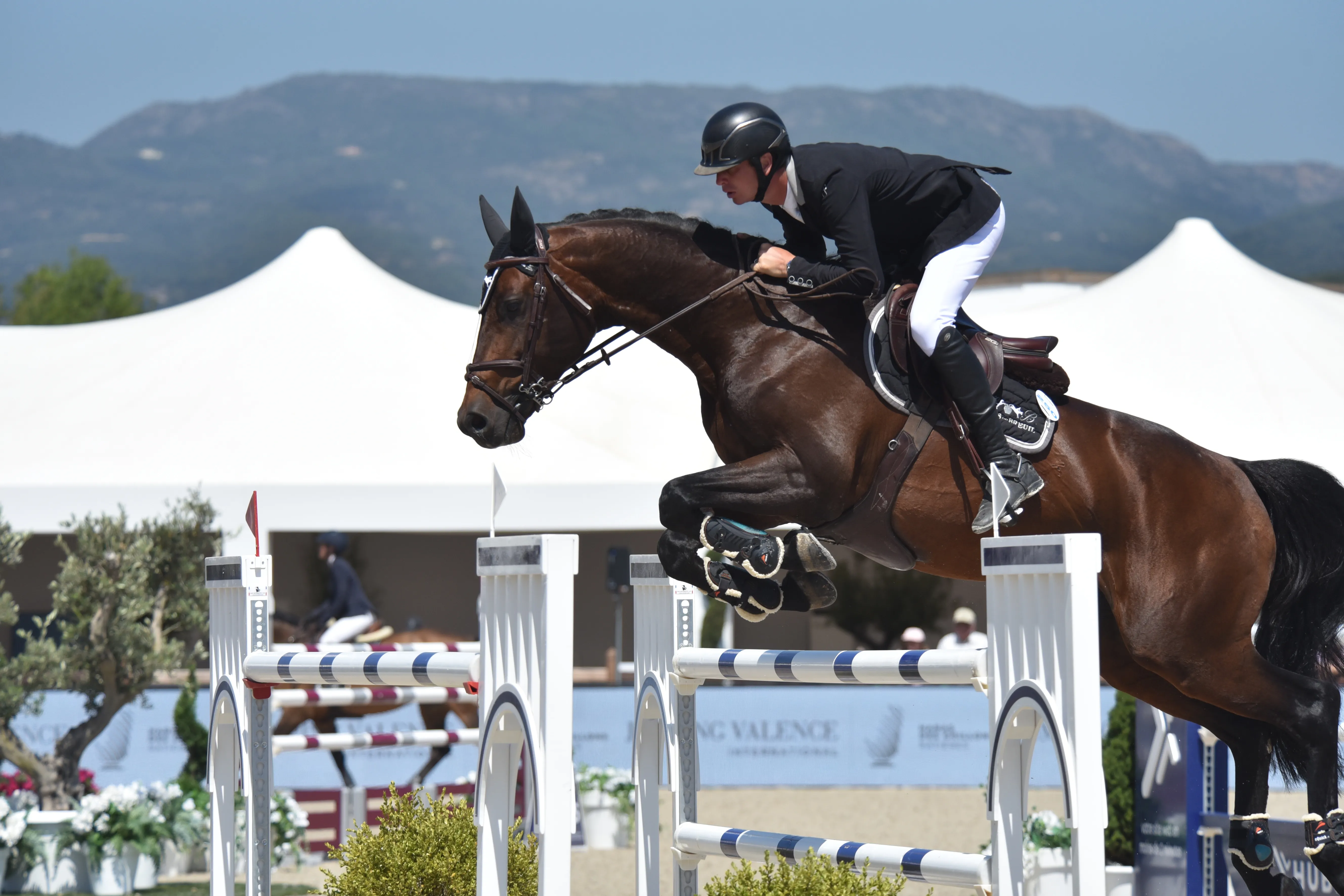 Charles-Henri Fermé avec Bellini Dufaure de L à l'Hubside Jumping de Grimaud. 