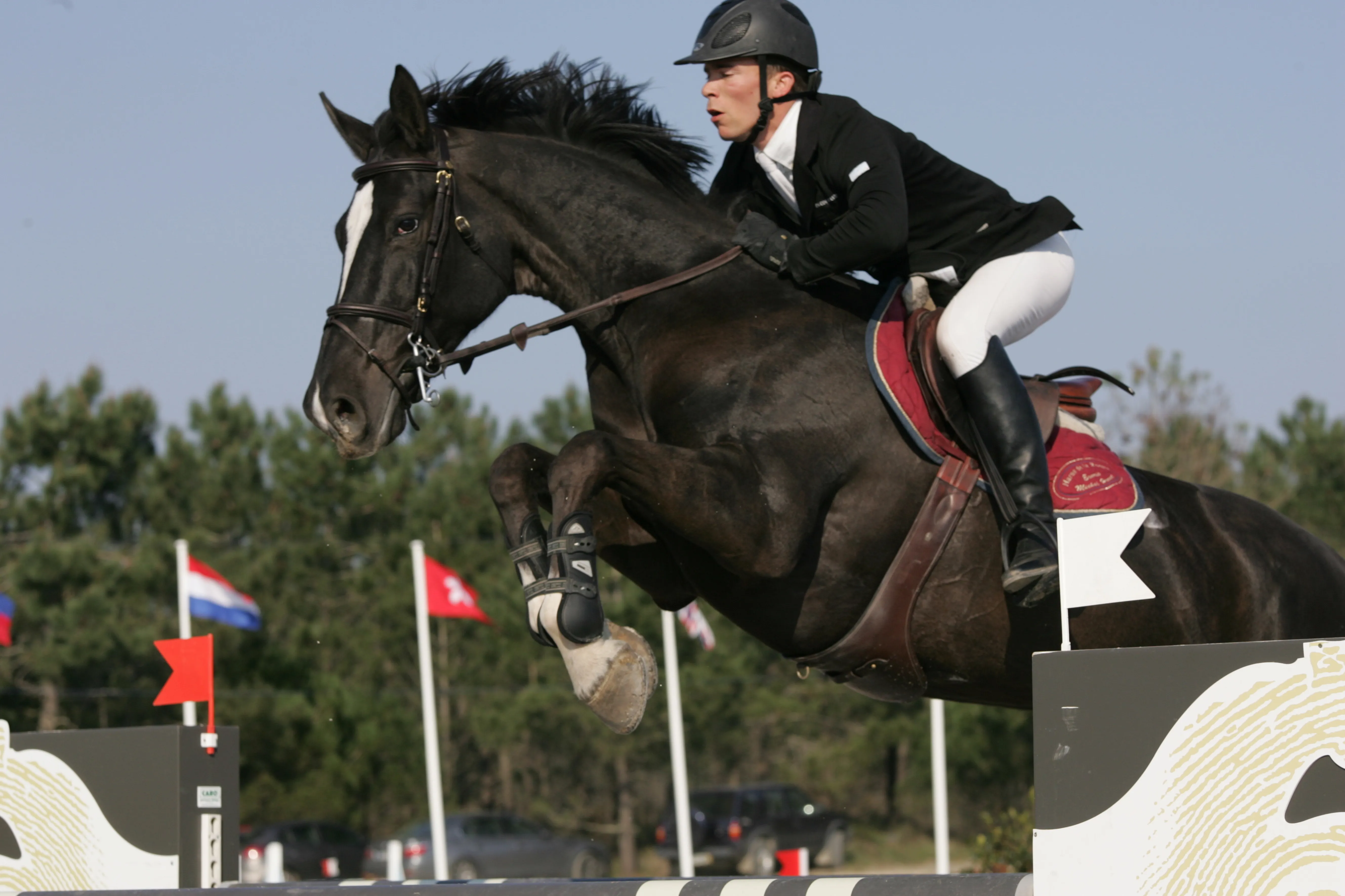 Walloon de Muze, ici avec Cédric Bellanger à l'Atlantic Tour de 2010, est une des héritières de la légendaire souche de Qerly Chin