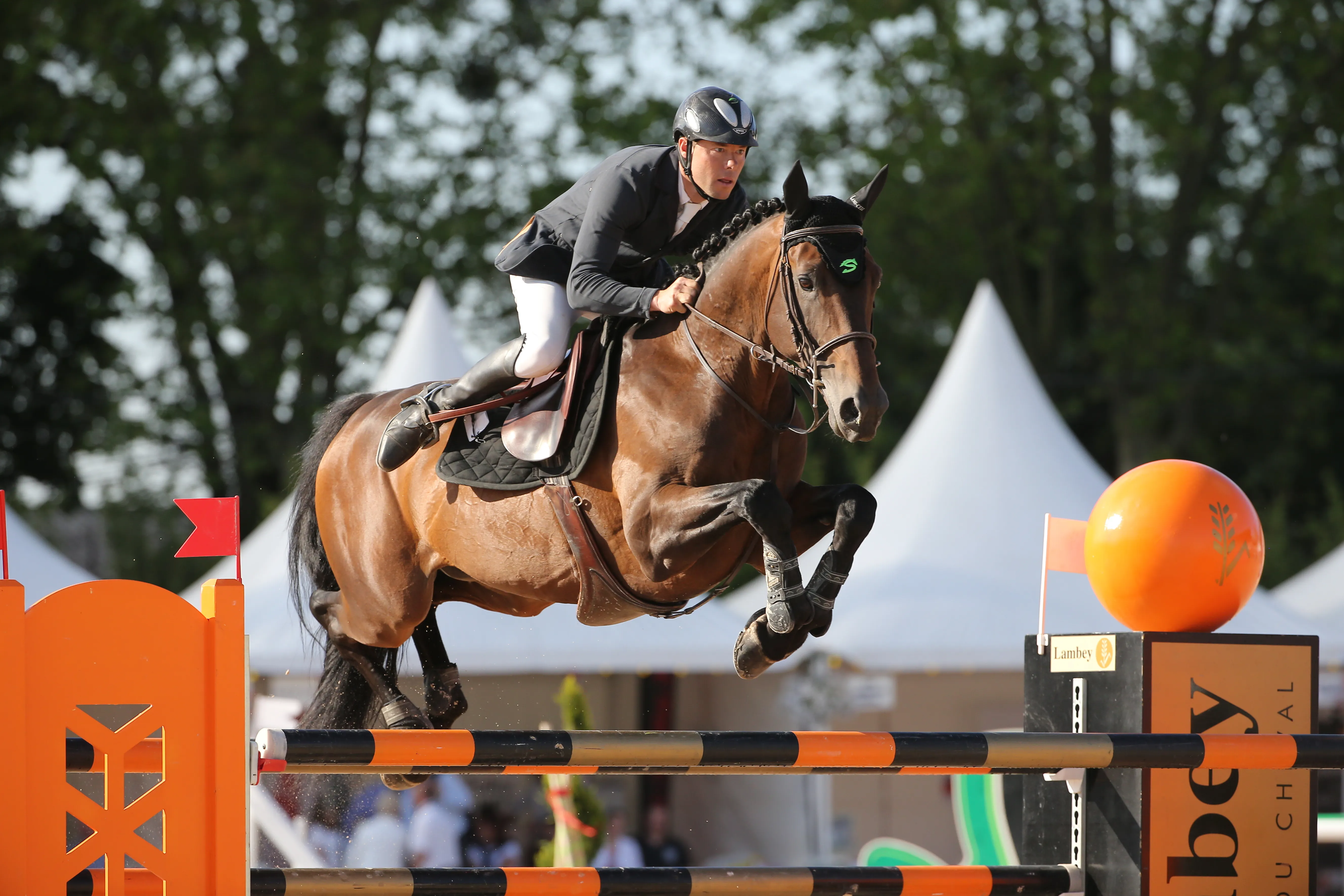 Ici au CSI 4* de Bourg-en-Bresse en 2014, Rubis du Rustick est sous la selle de son éleveur et propriétaire Marc Le Berre. 