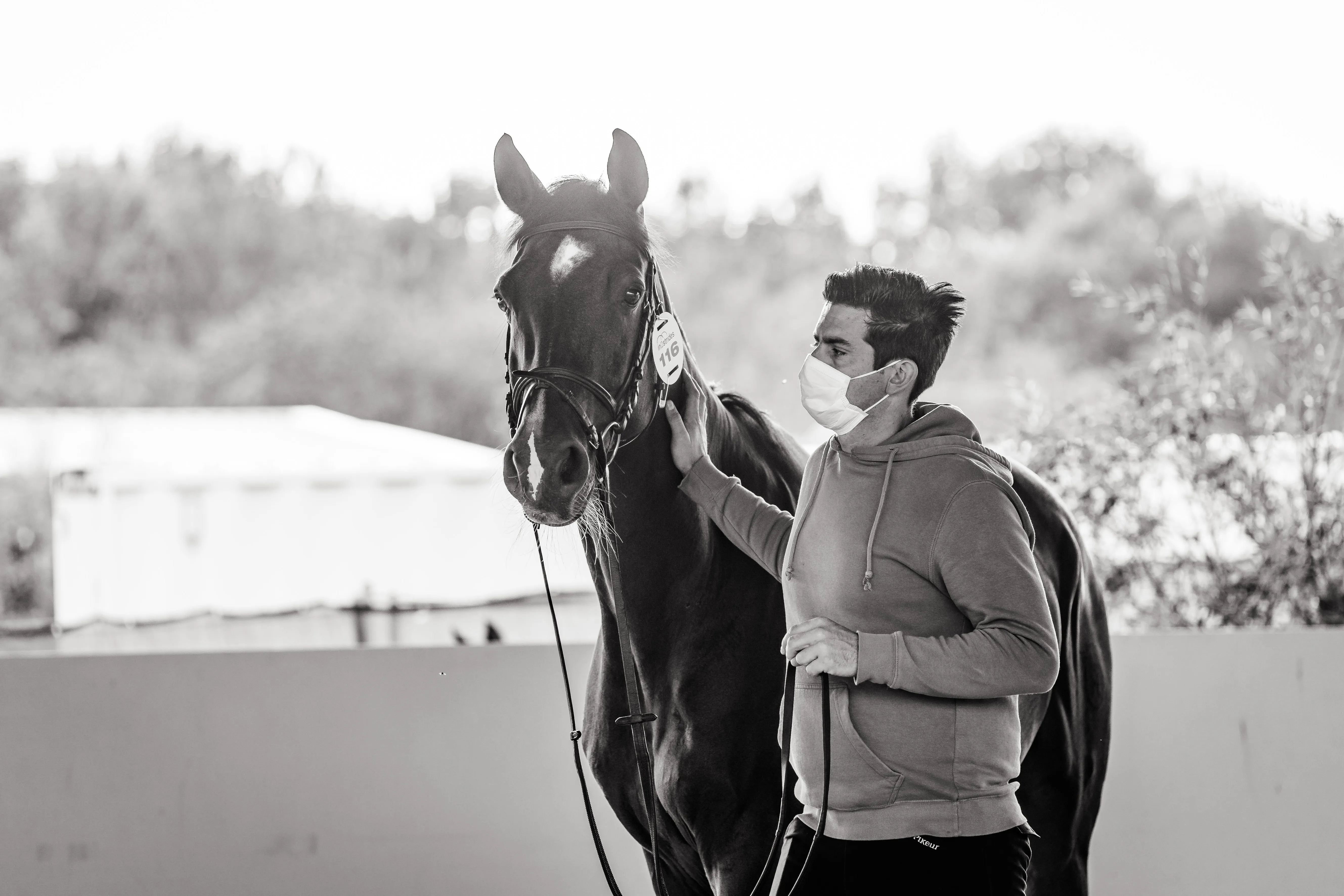 “C’était presque comme d’habitude”, témoigne Sean Lynch au sujet de son voyage vers les États-Unis avec les chevaux des écuries belges Stephex.