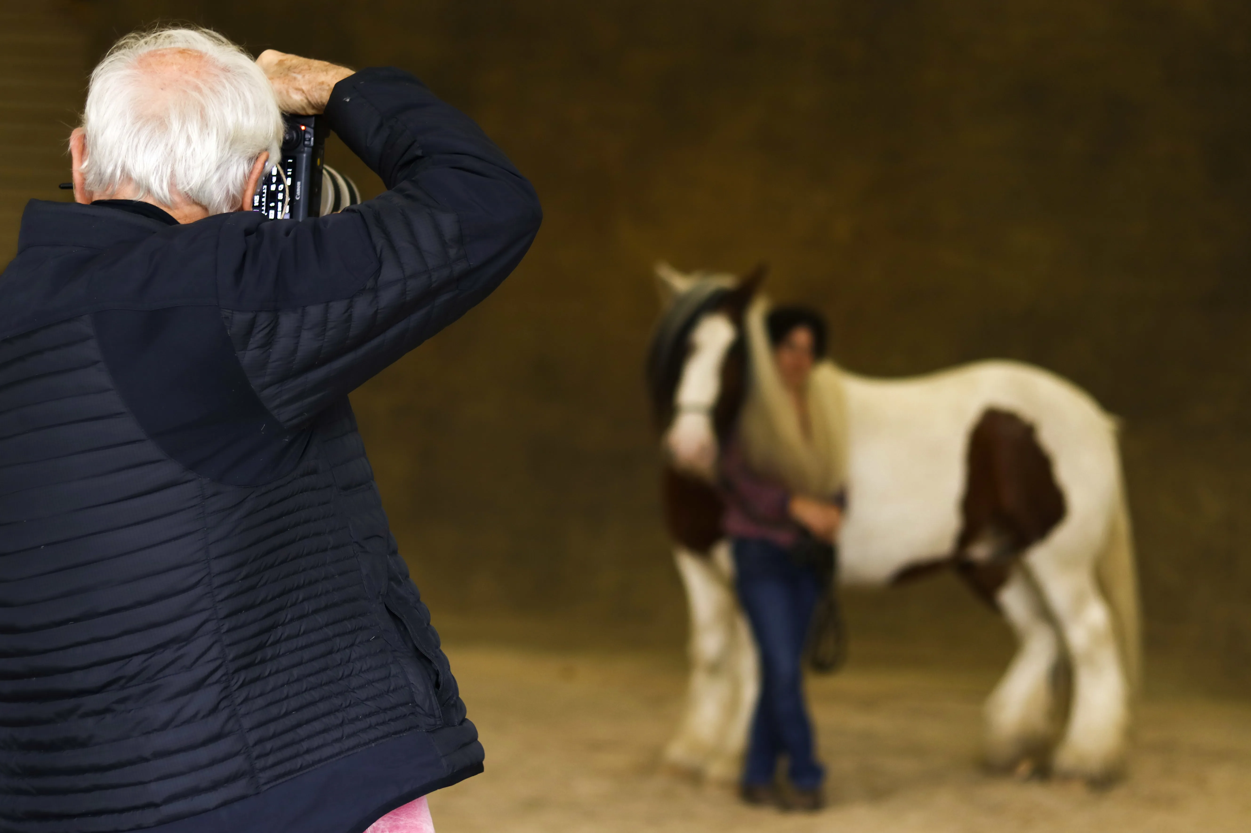 Les 24 et 25 octobre, Yann Arthus-Bertrand a œuvré au haras de la Cense à travers deux séances photos, au profit de l’Institut pour l’Homme et le cheval.