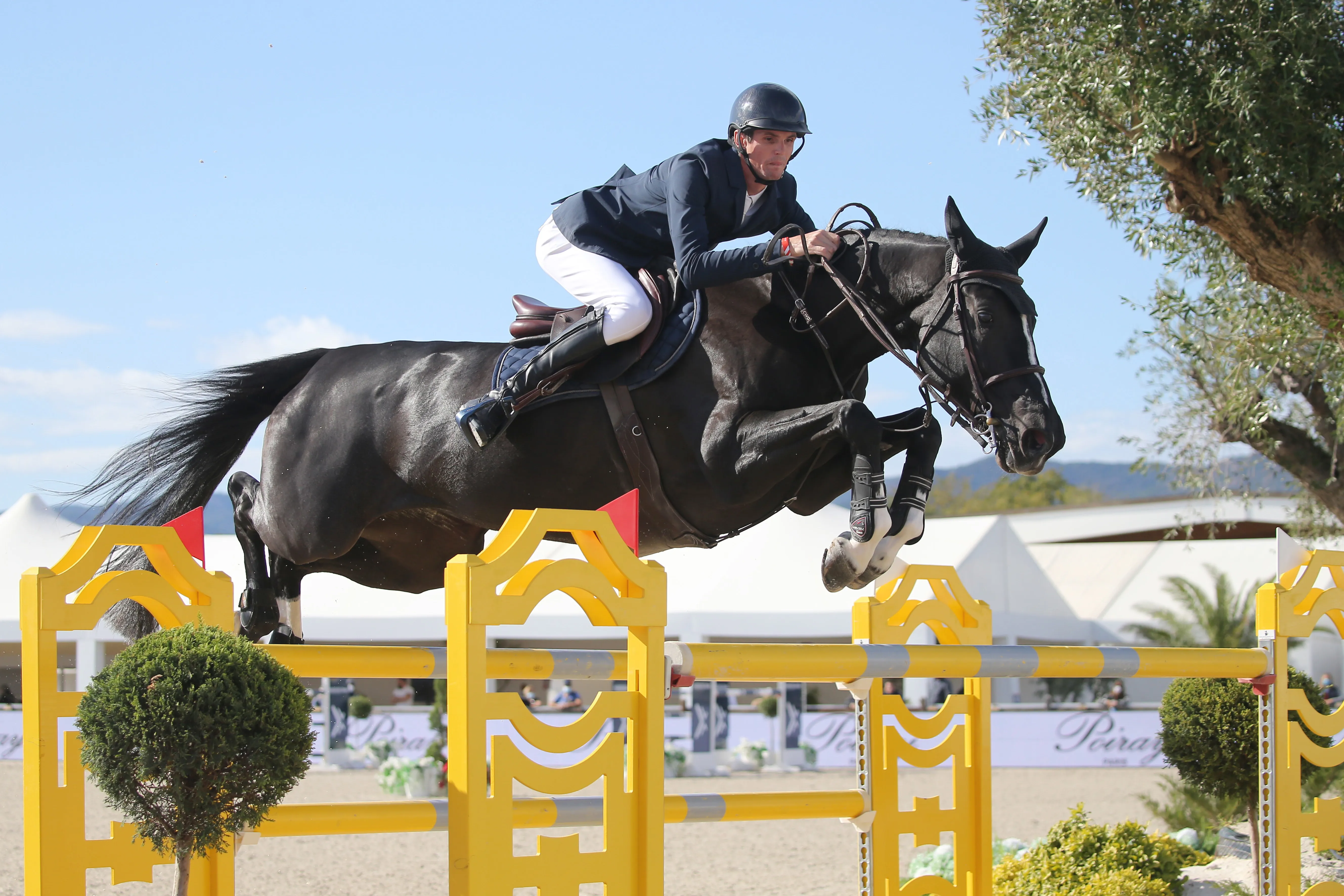 En pleine progression, Kitona de Muze s'est rapidement imposée comme la jument de tête d'Alexis Deroubaix.