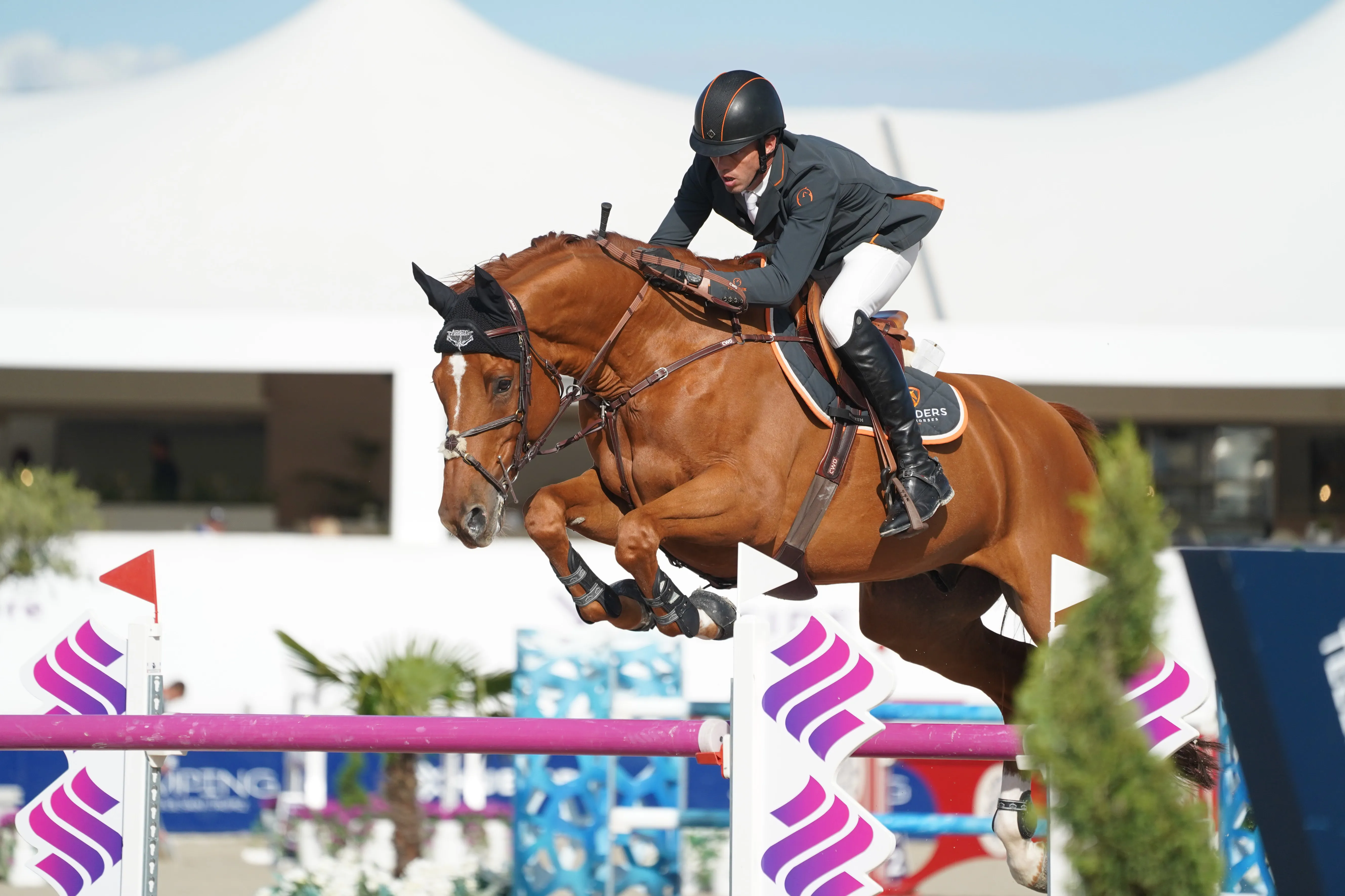 Pour les Jeux olympiques de Tokyo, Harrie Smolders compte notamment sur Bingo du Parc, avec lequel il ne concourt que depuis septembre. 