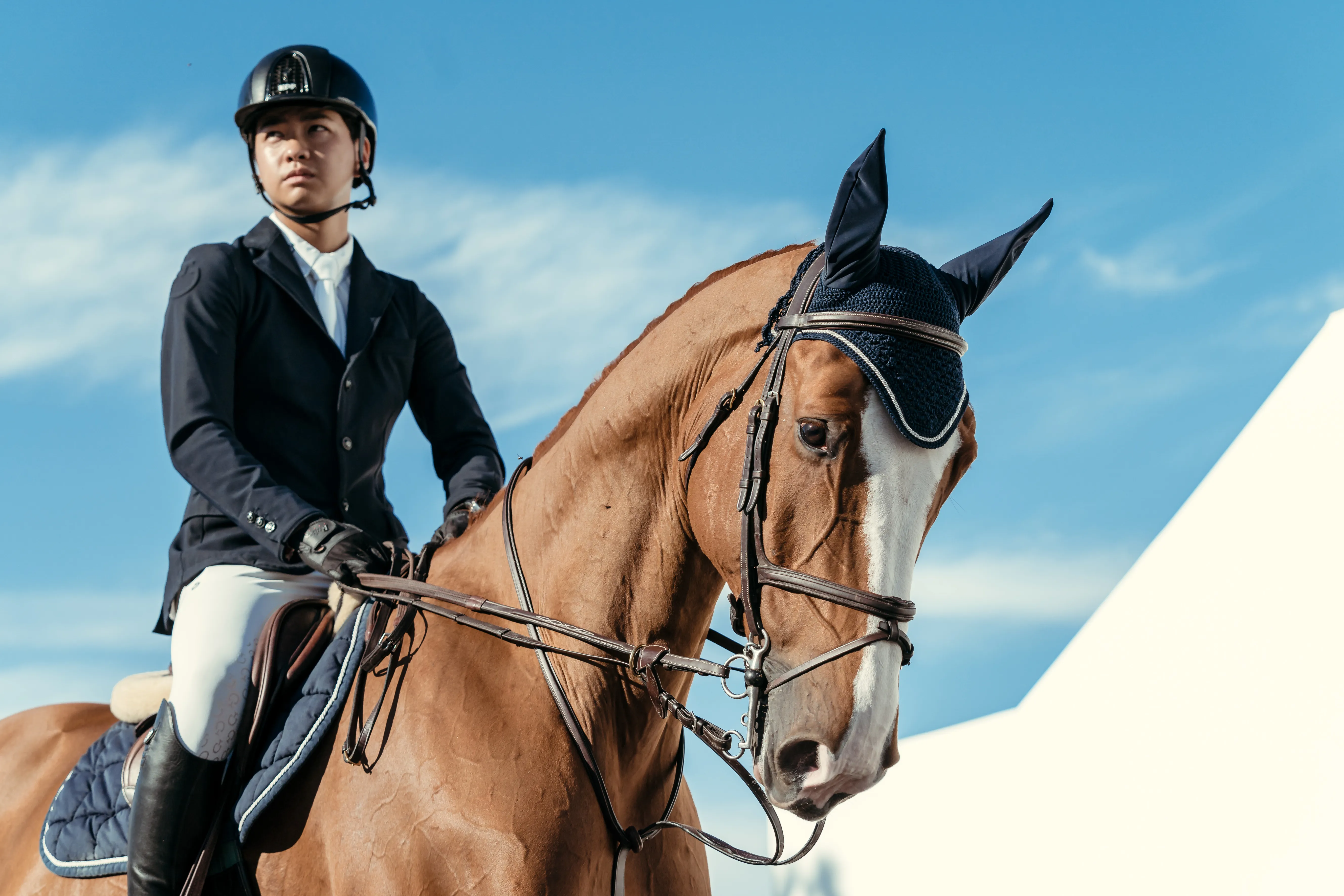 Parmi ses meilleures montures, Celvin a permis à Mike Kawai de faire ses armes à haut niveau. 