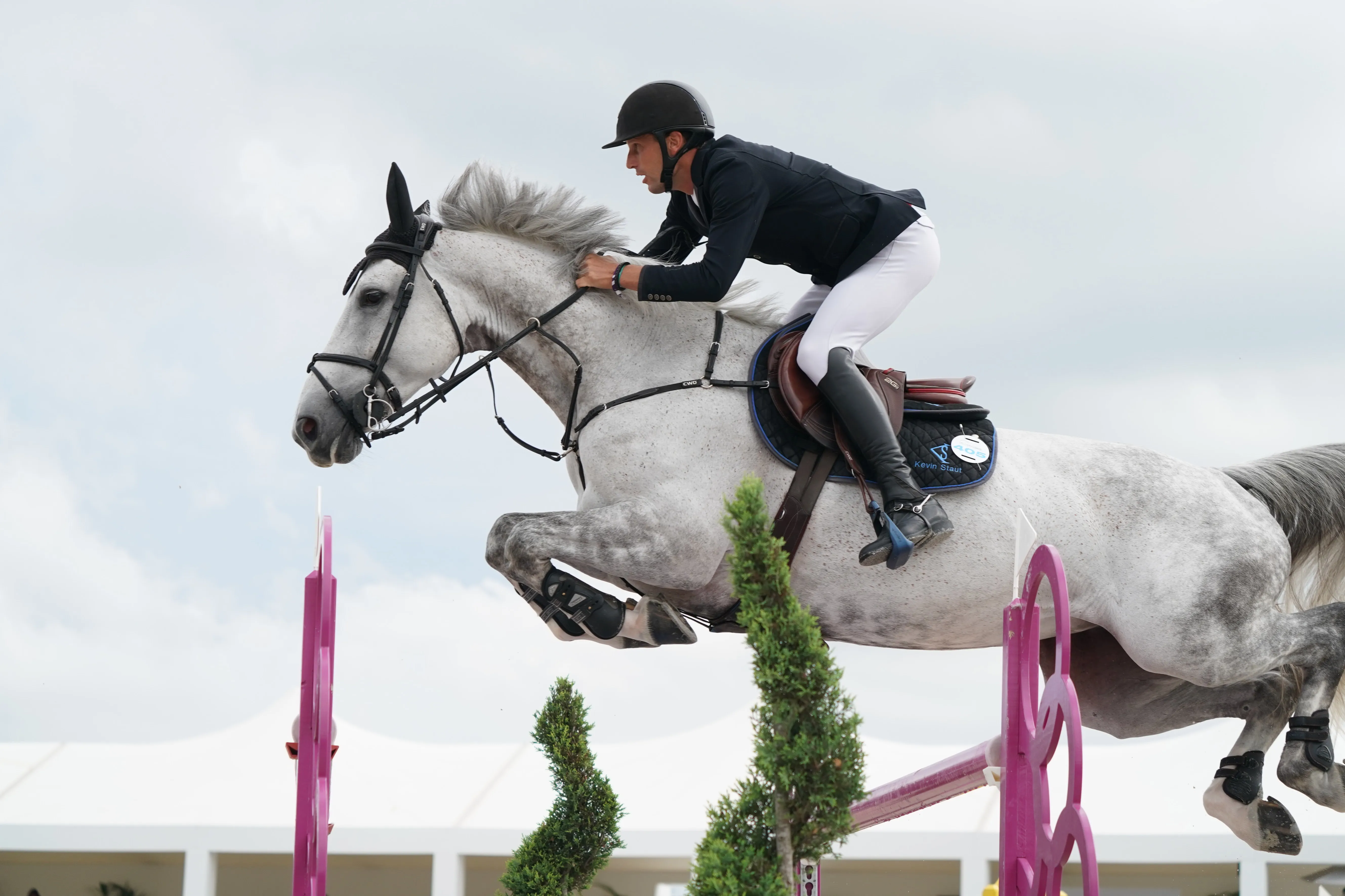 Kevin Staut ne tarit pas d'éloges sur Tolède de Mescam, qui a passé un cap. 