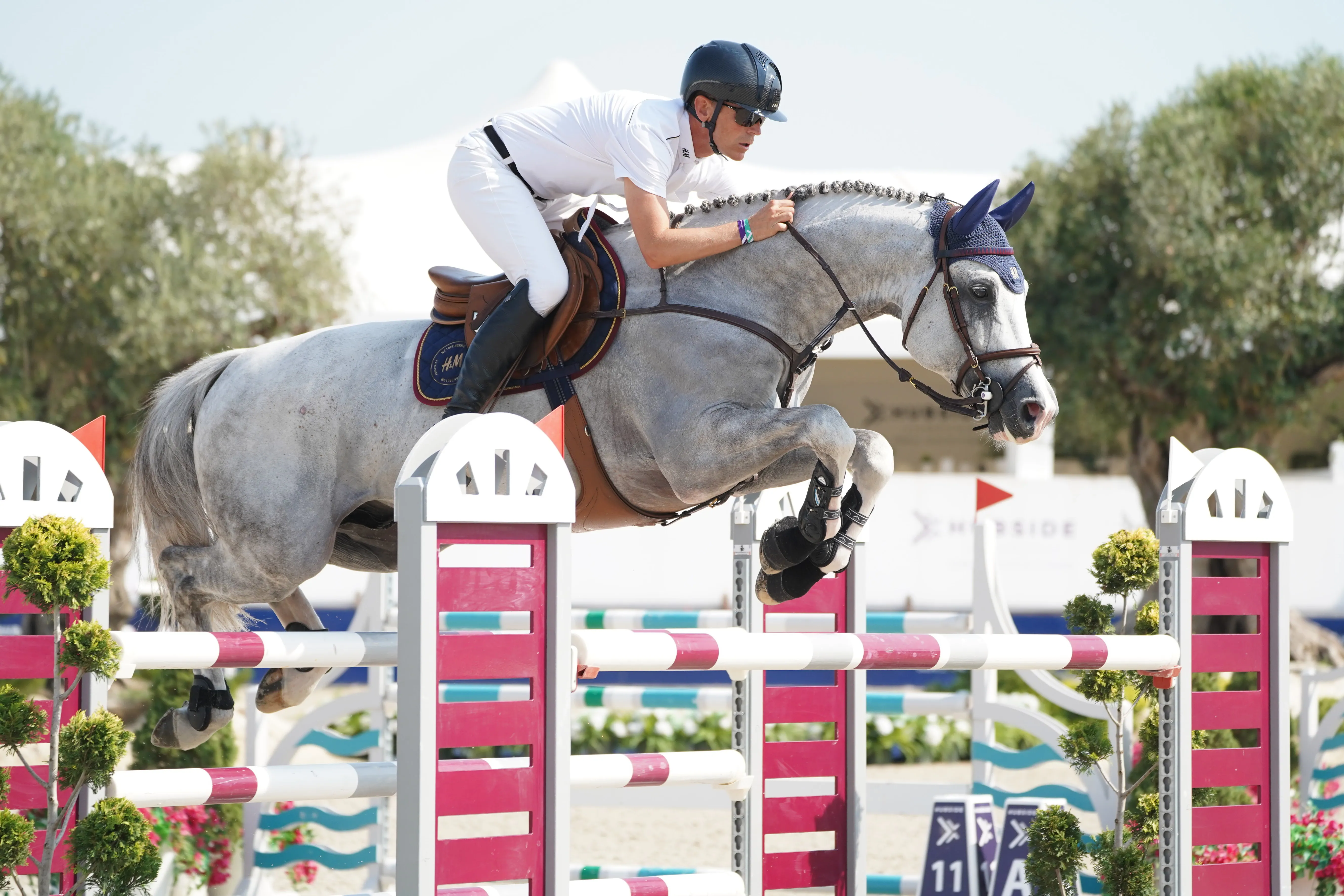 À neuf ans, H&M Crusader Ice continue de gravir les échelons du haut niveau. 